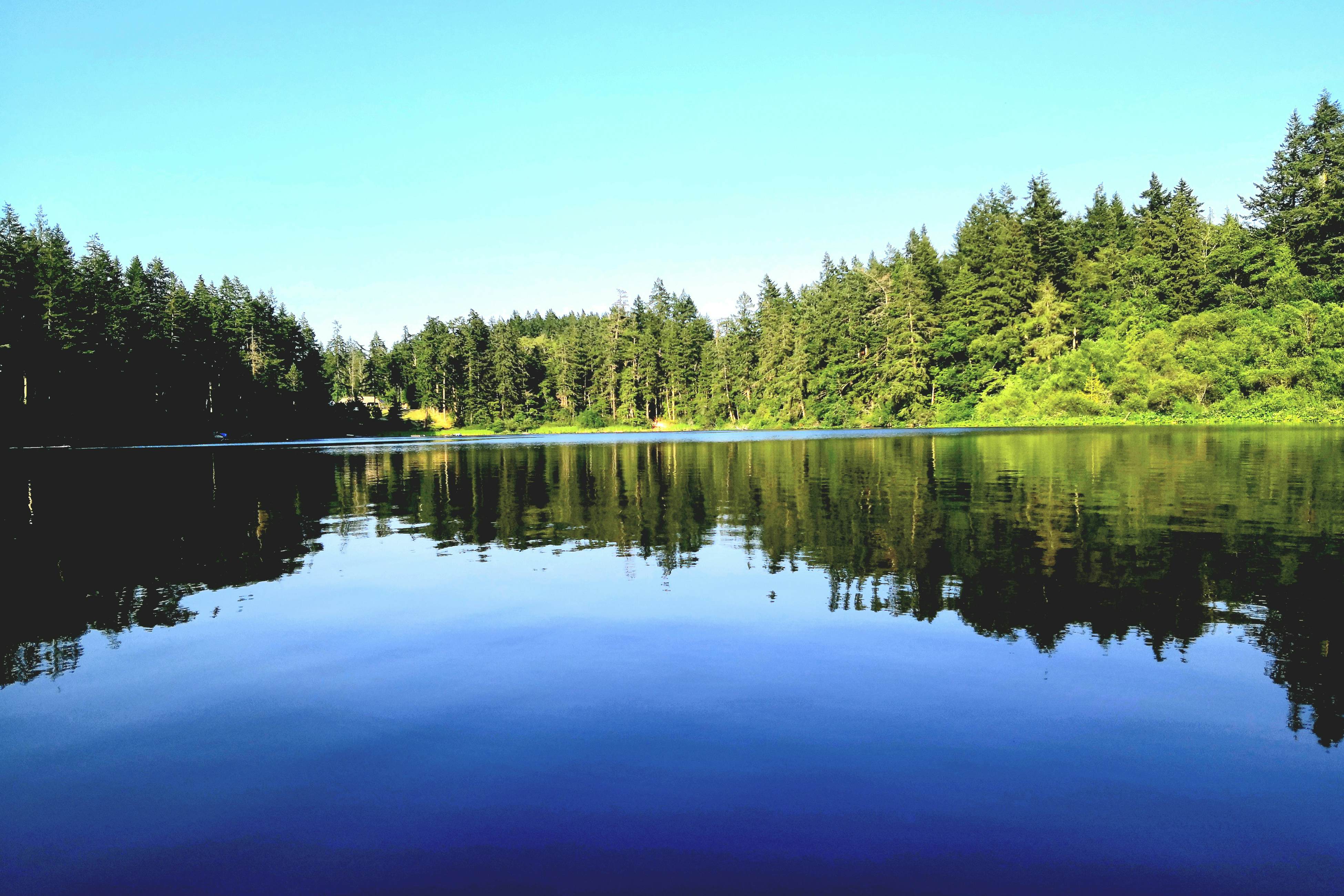 Silver Lake Splendor