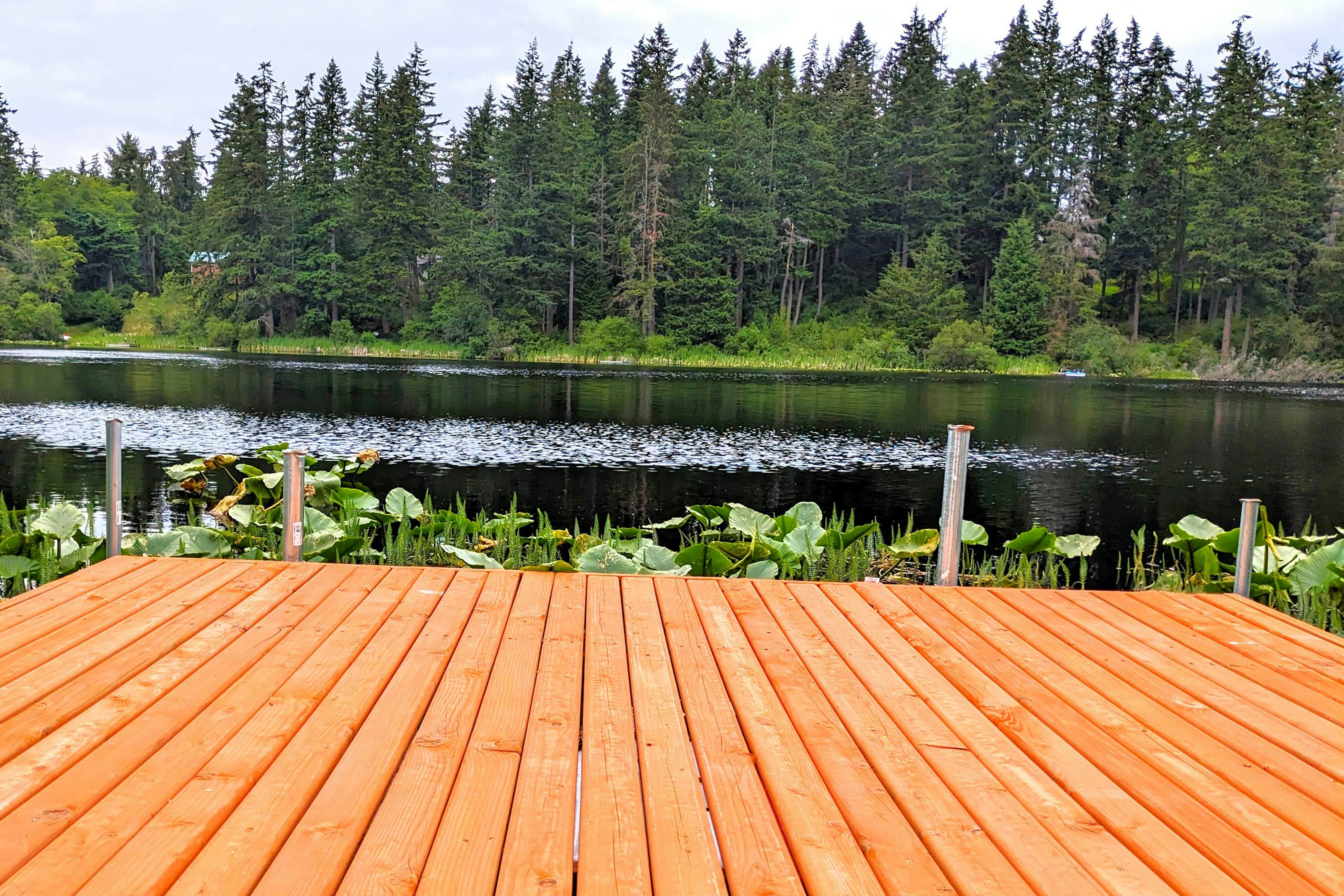 Silver Lake Splendor