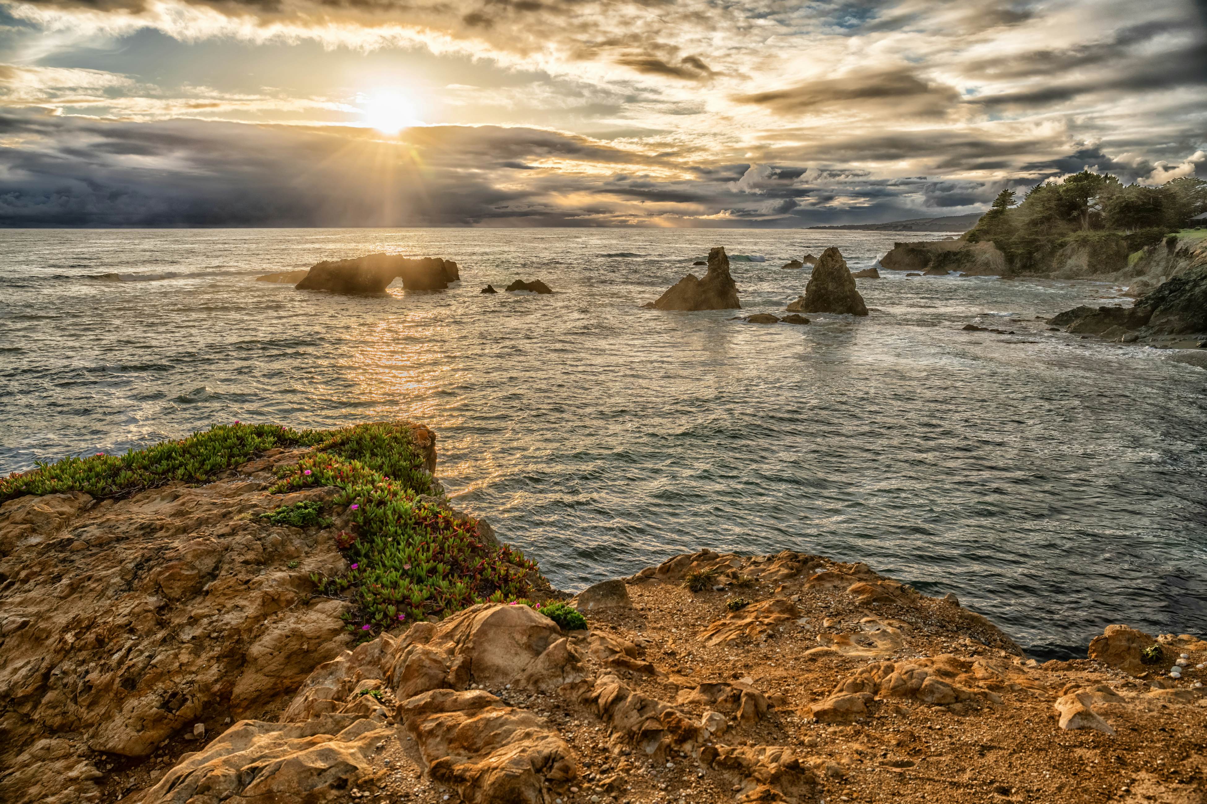 Coastal Calm at Sea Ranch