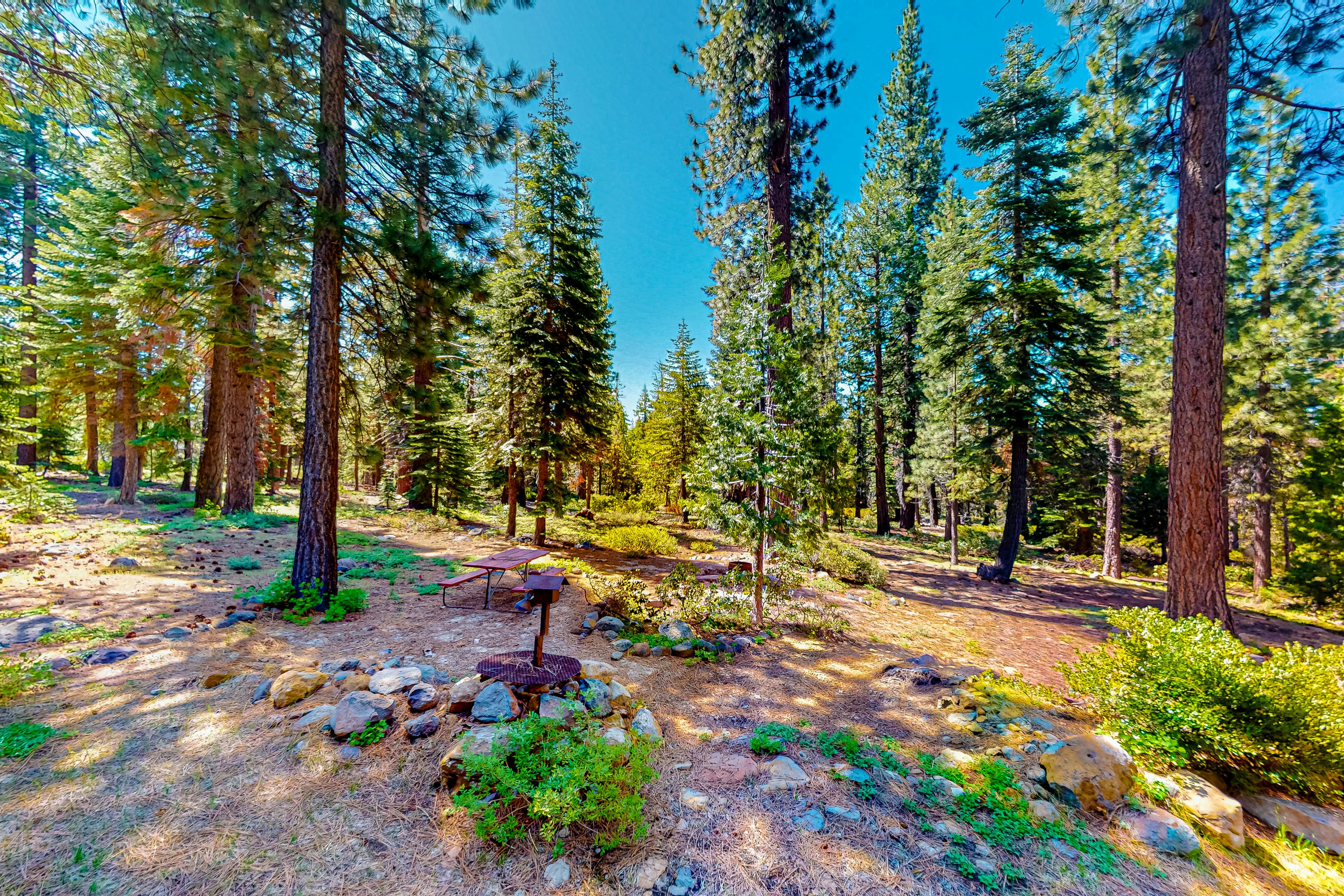 Epic Mountain Escape