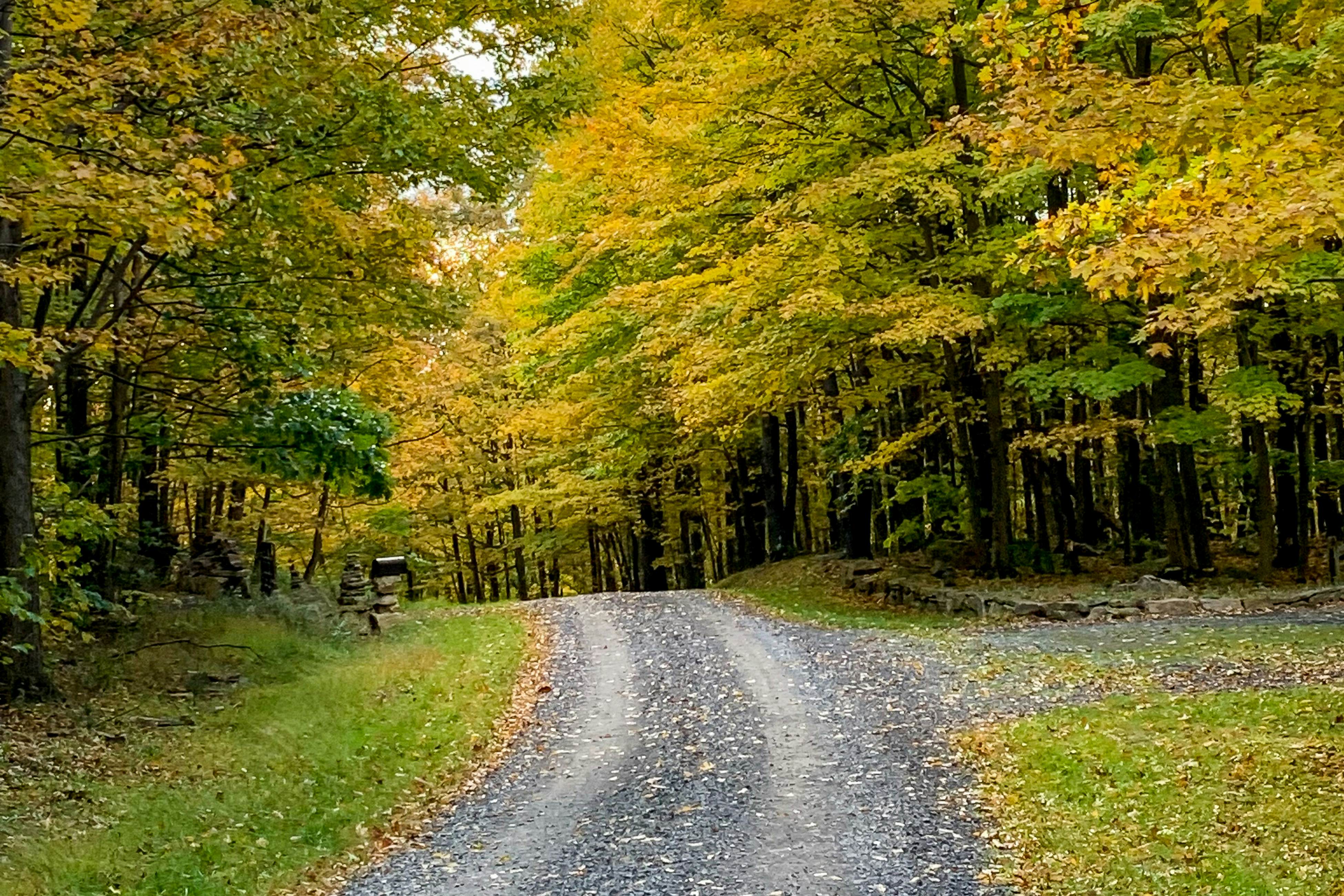 Whistle and Quill Lodge