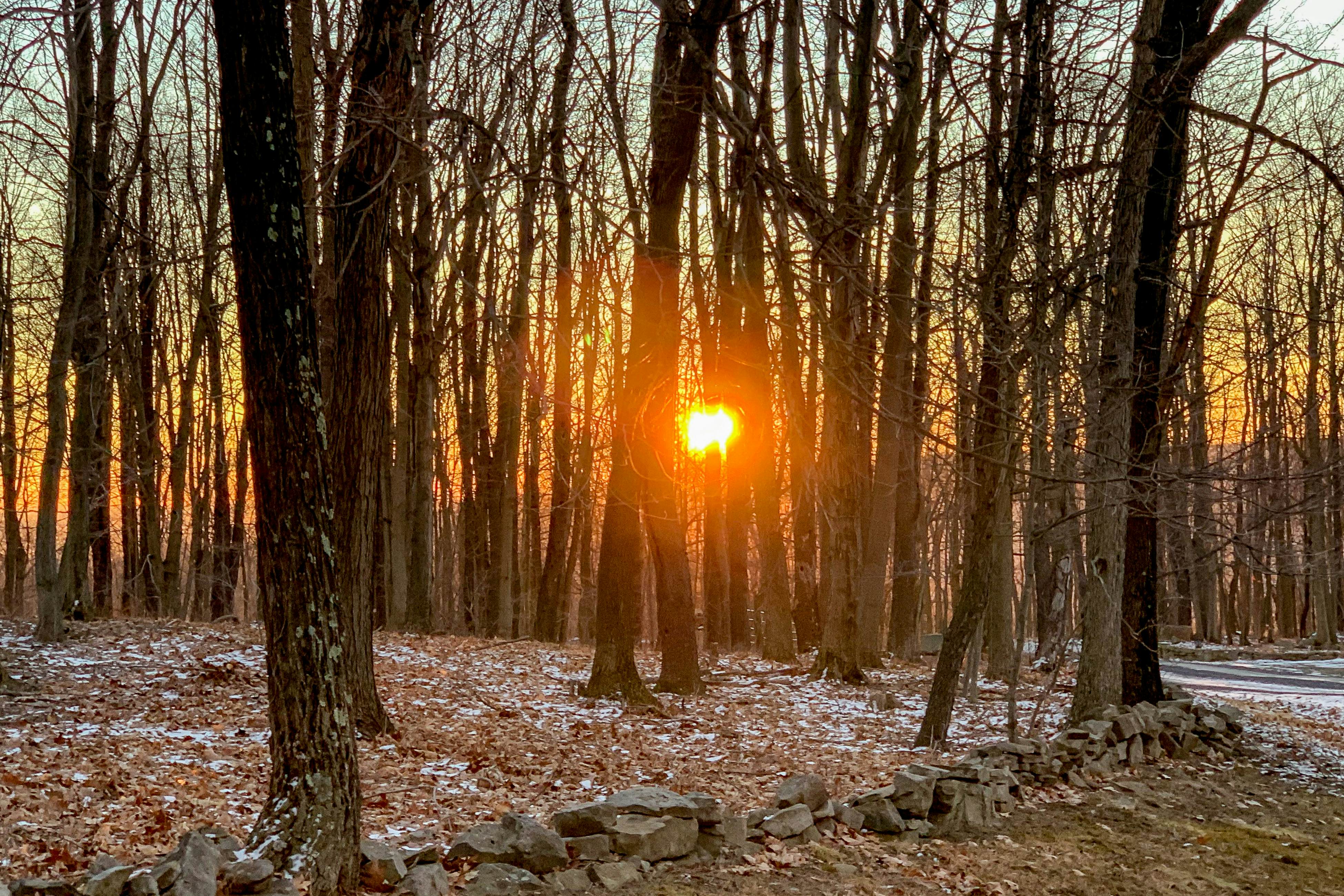 Whistle and Quill Lodge