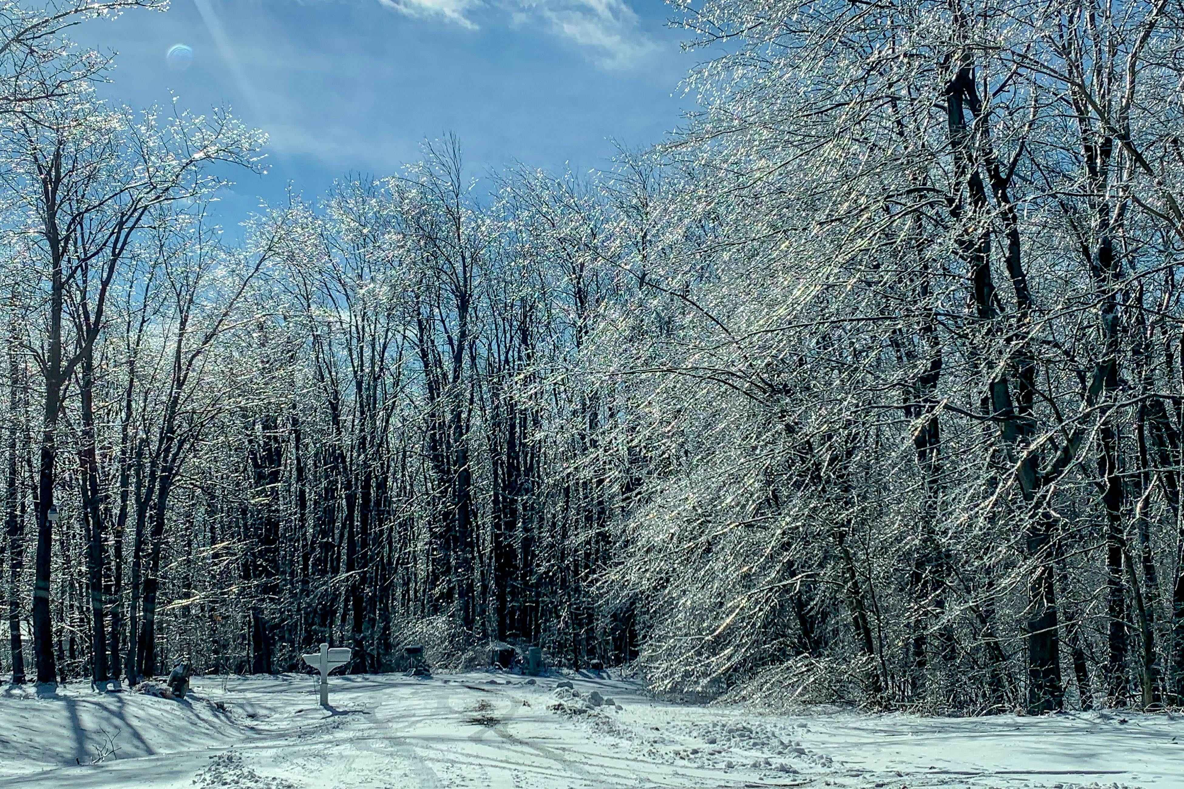Whistle and Quill Lodge
