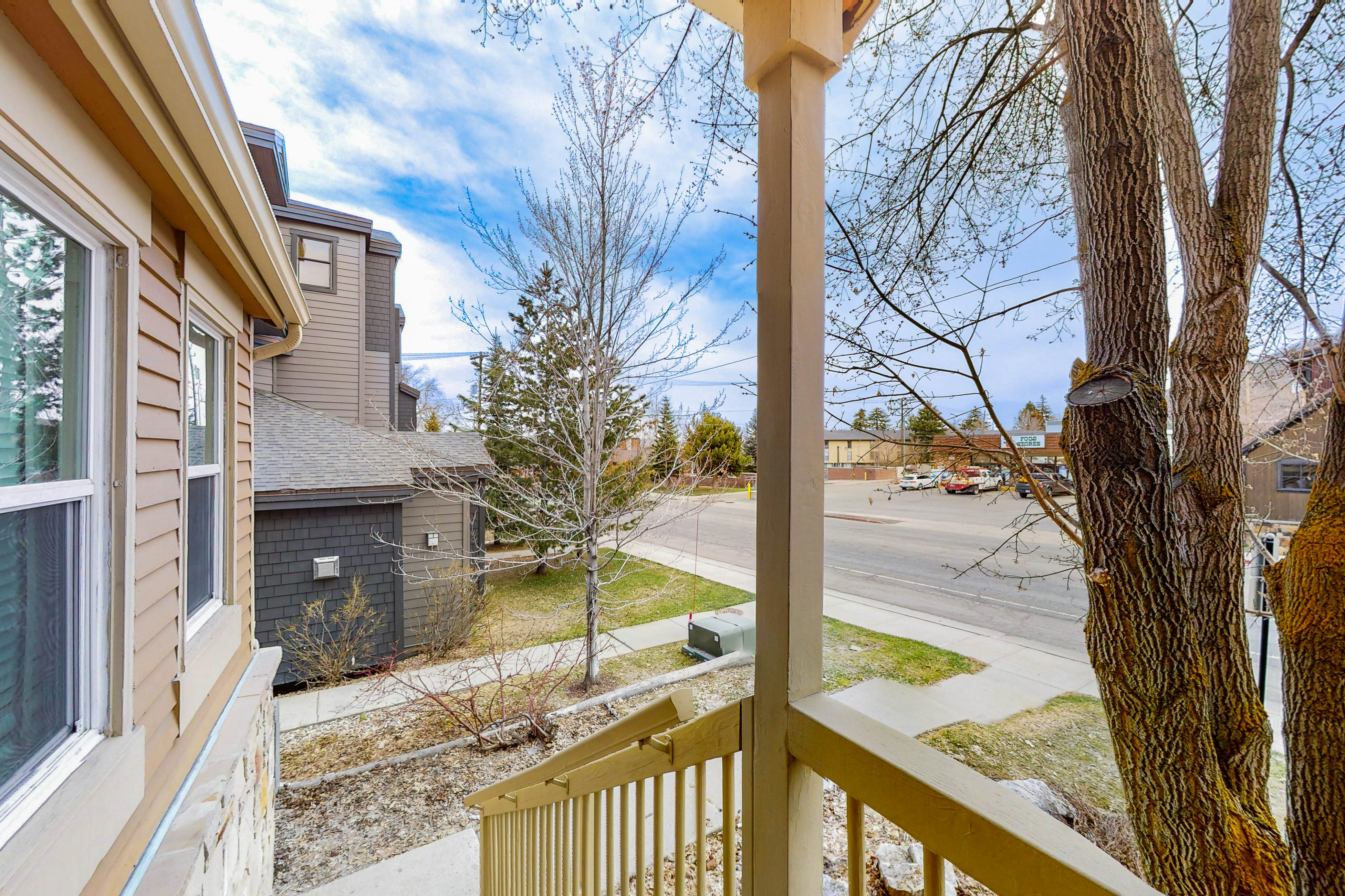 Park City Sunflower Sanctuary