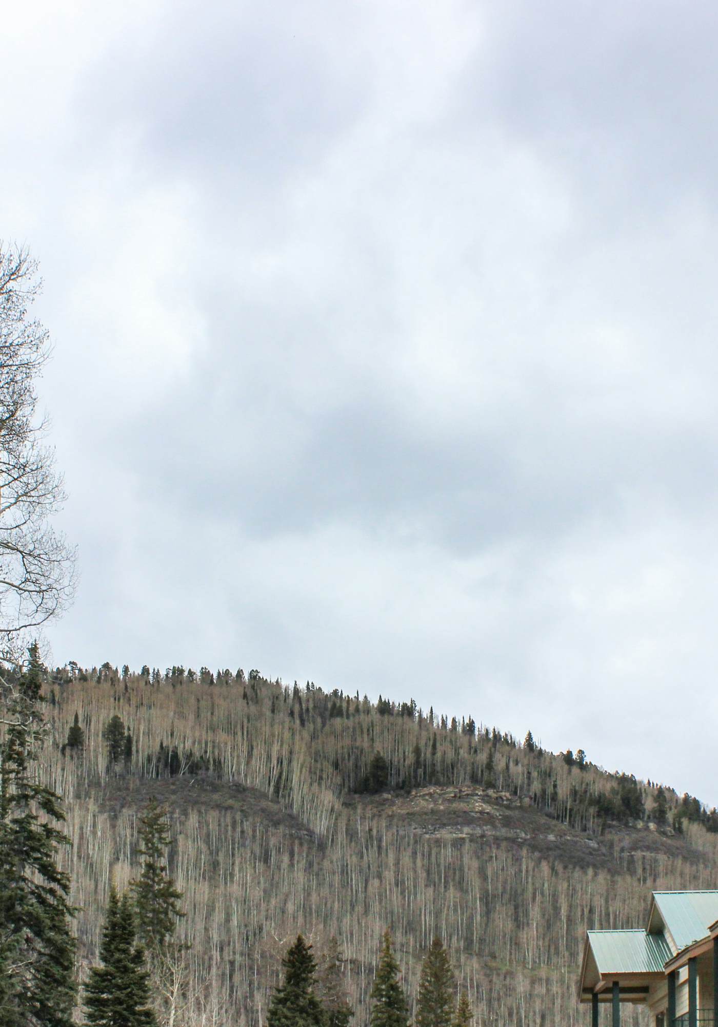 Purgatory Townhome 153