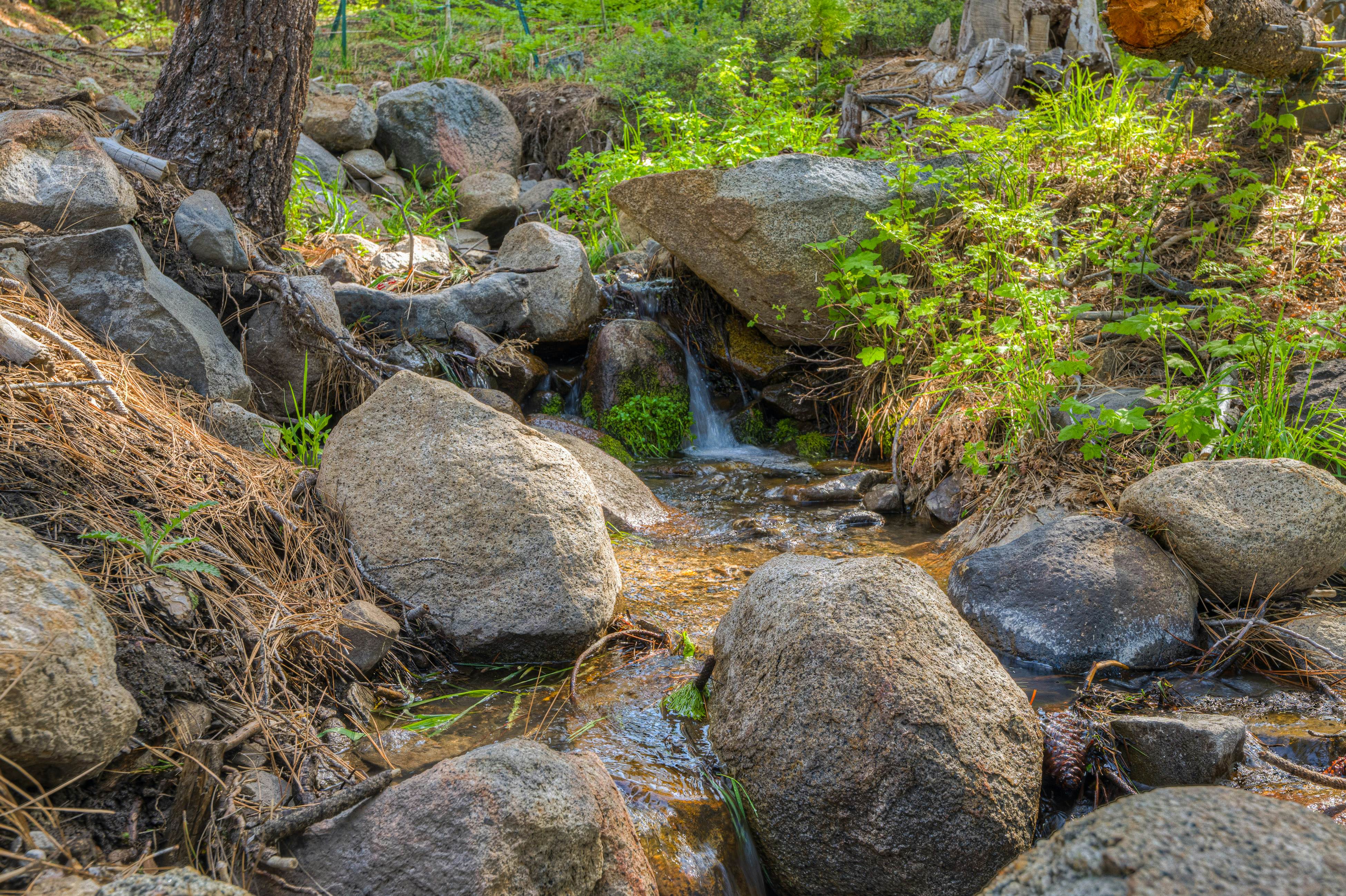 hidden image preload