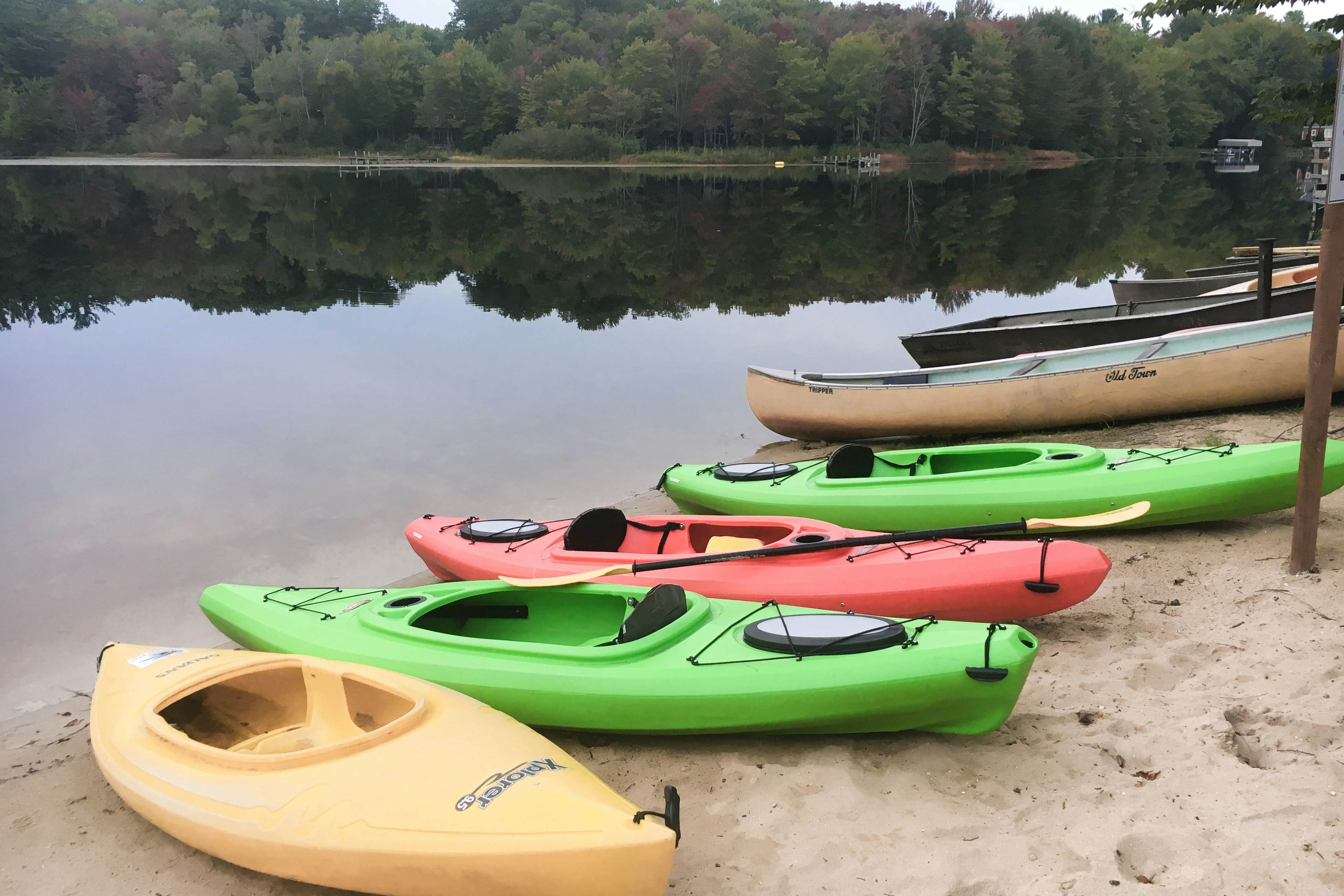 Goshorn Lake's Endless Summer