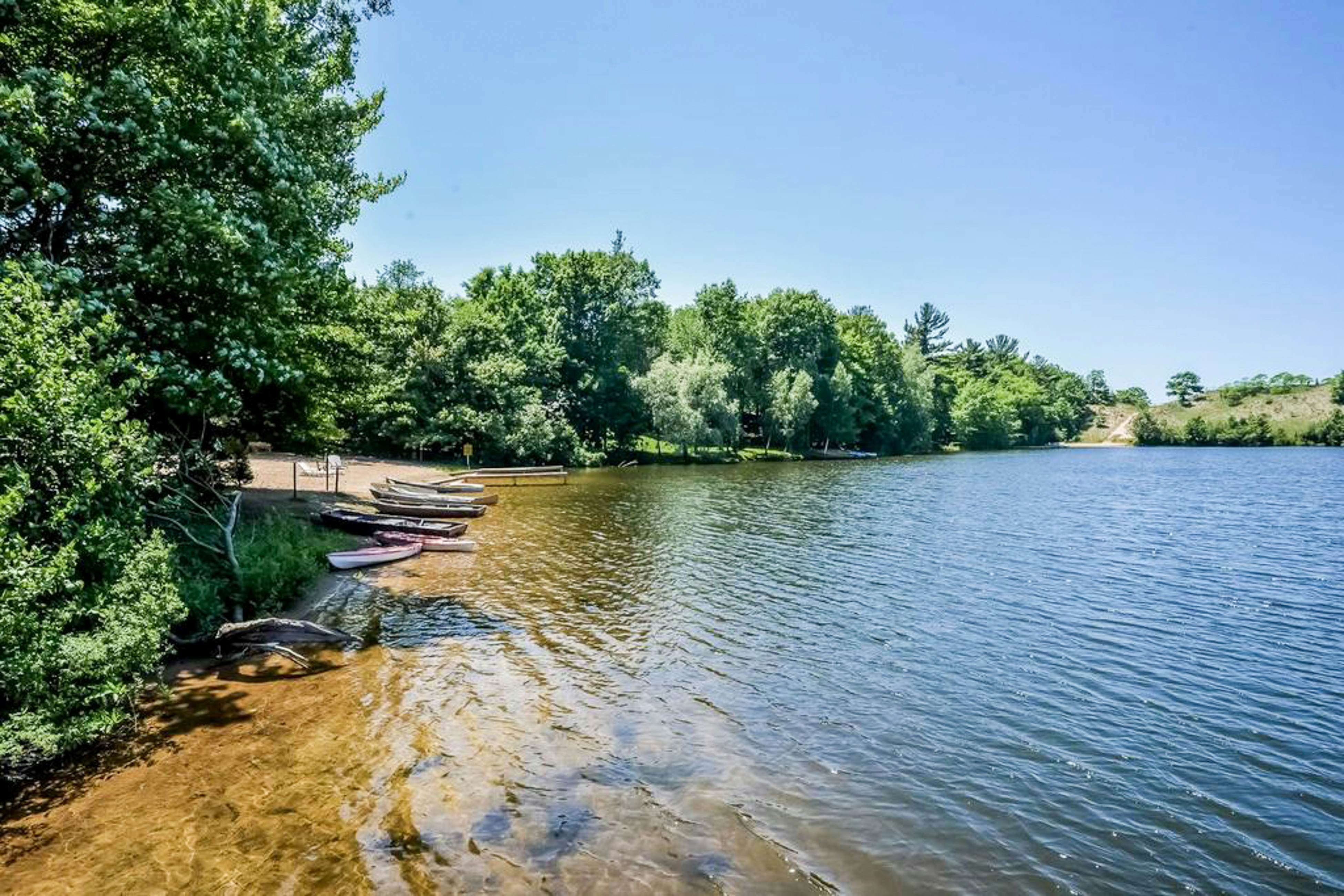 Goshorn Lake's Endless Summer