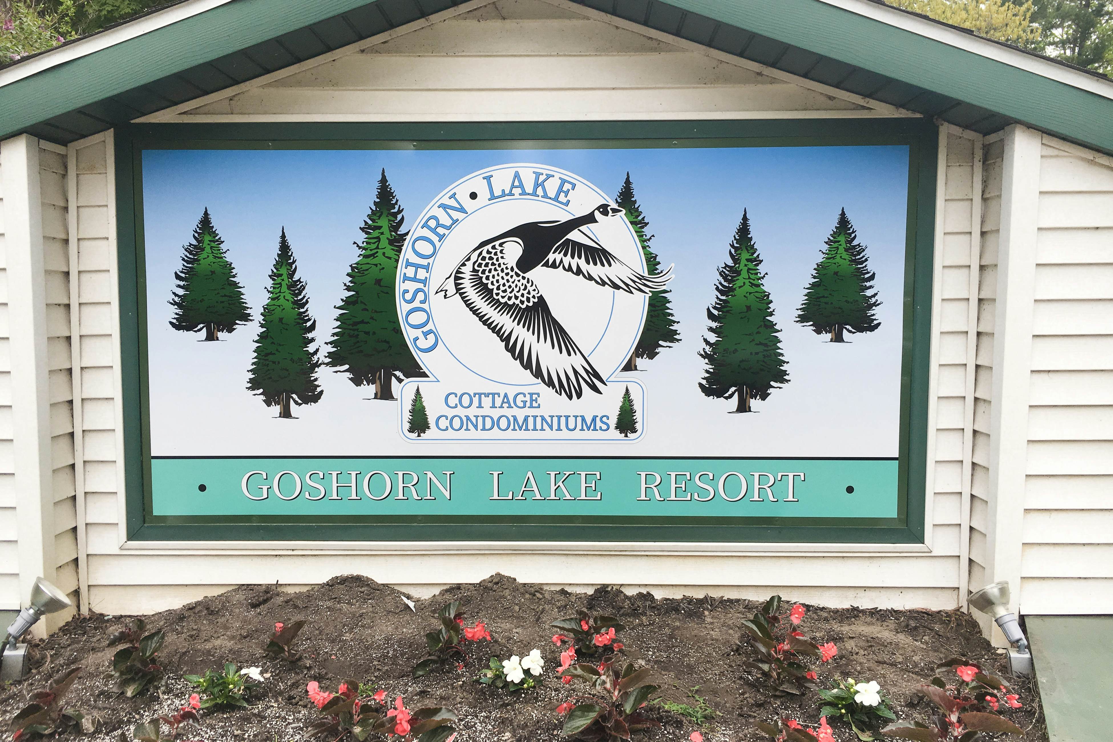 Goshorn Lake's Endless Summer