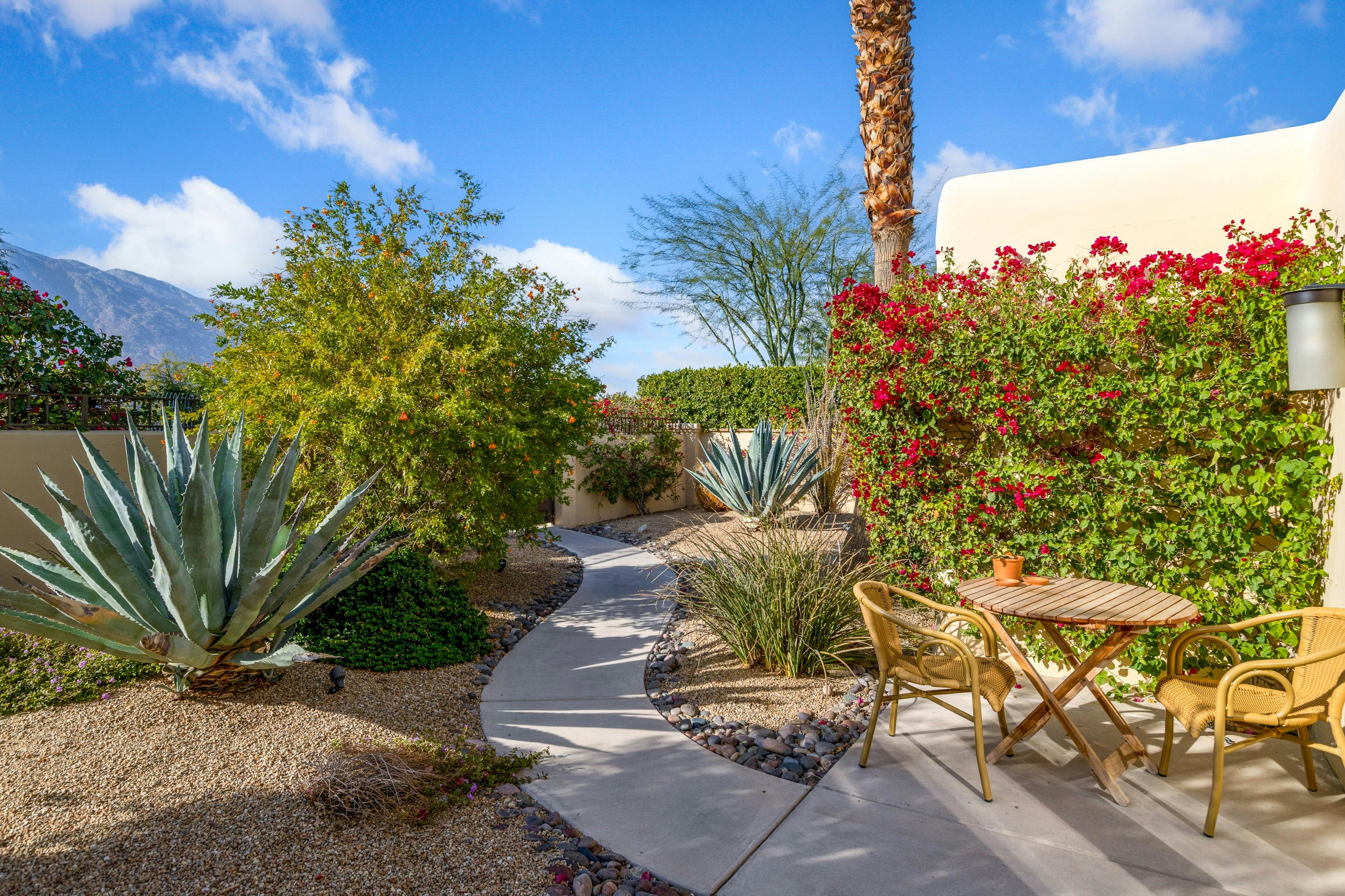 Adobe Barona Dream - 1497