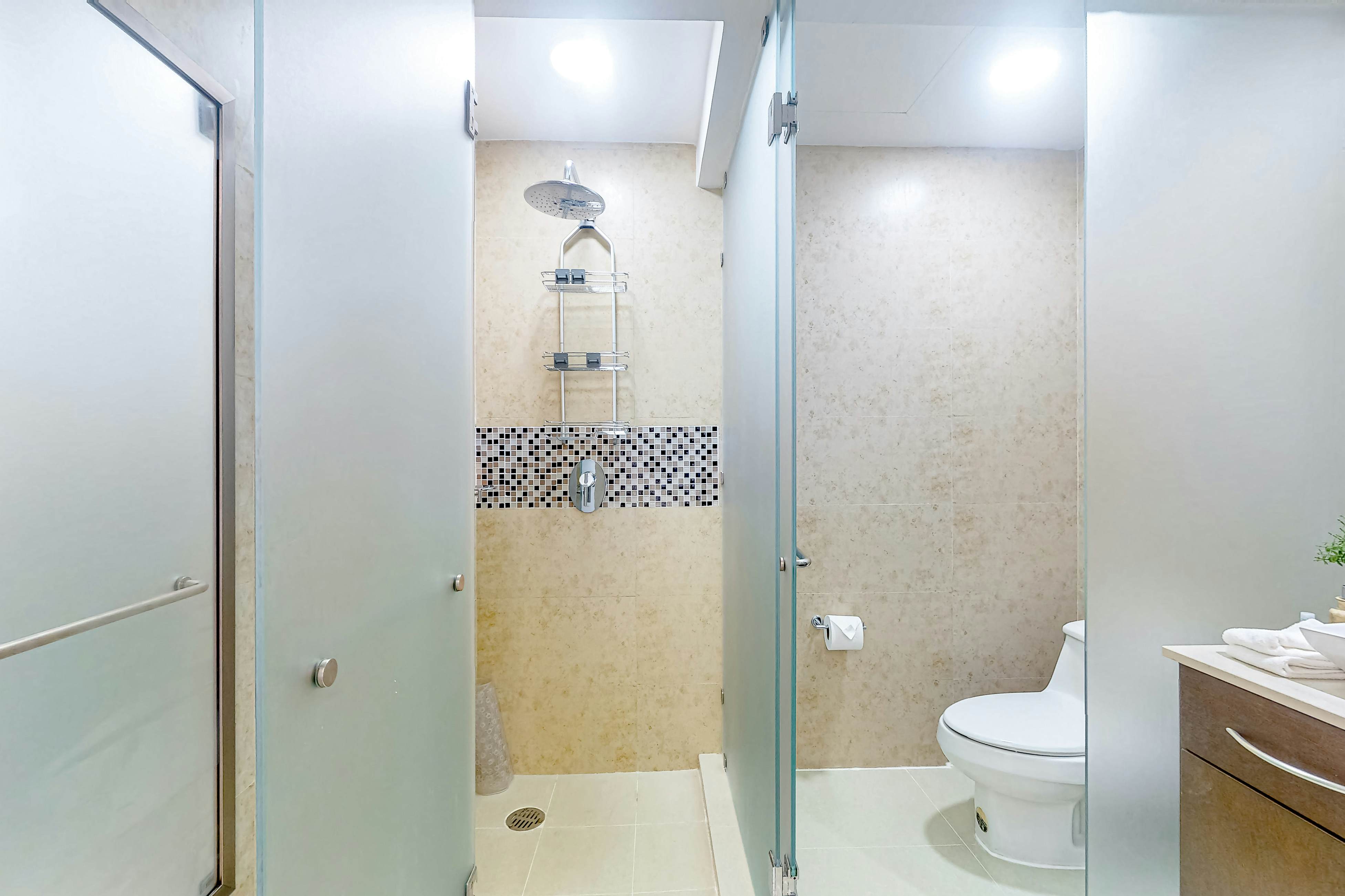 Luxury Palms at Mareazul 436 Norte