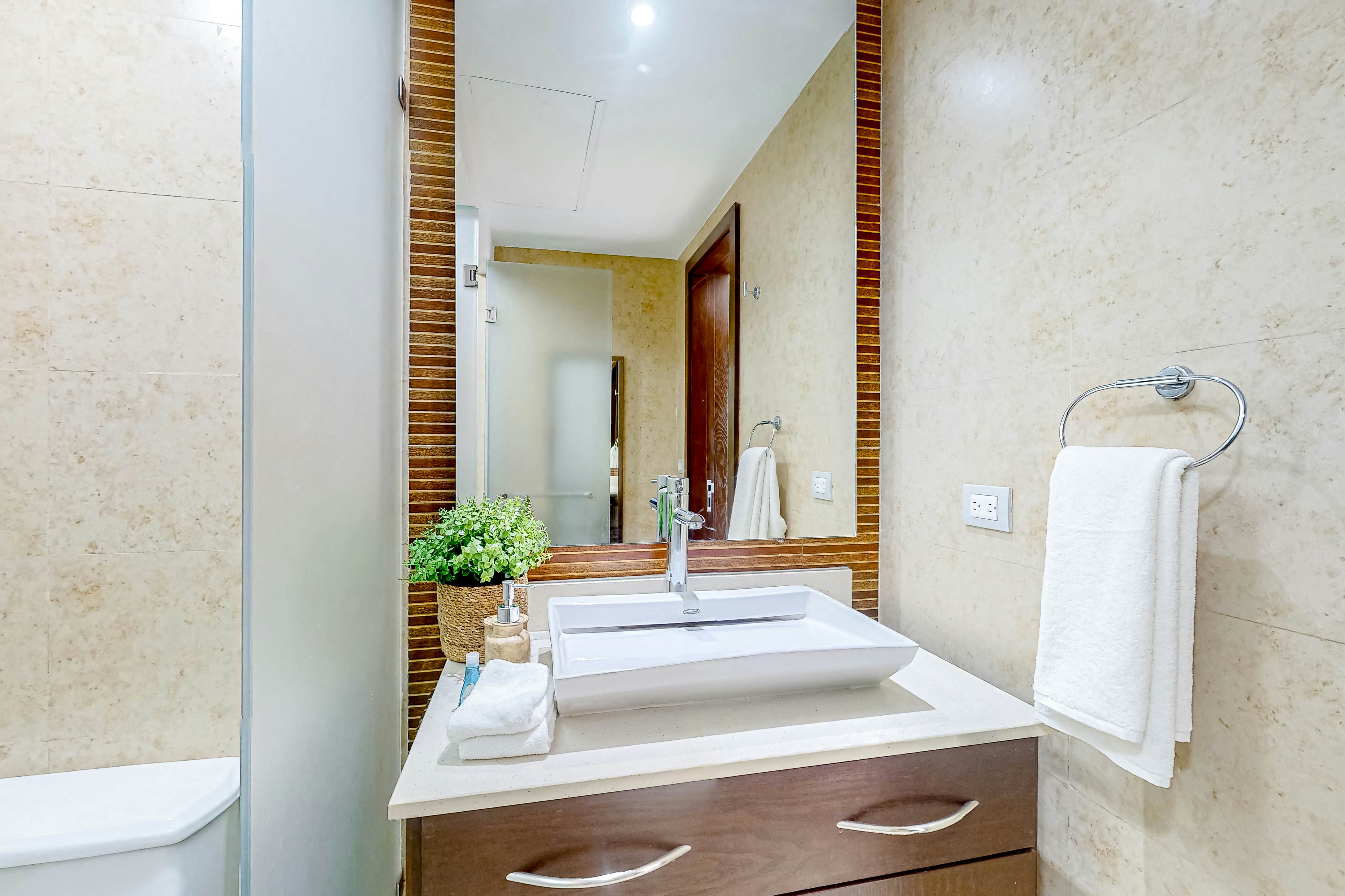 Luxury Palms at Mareazul 436 Norte