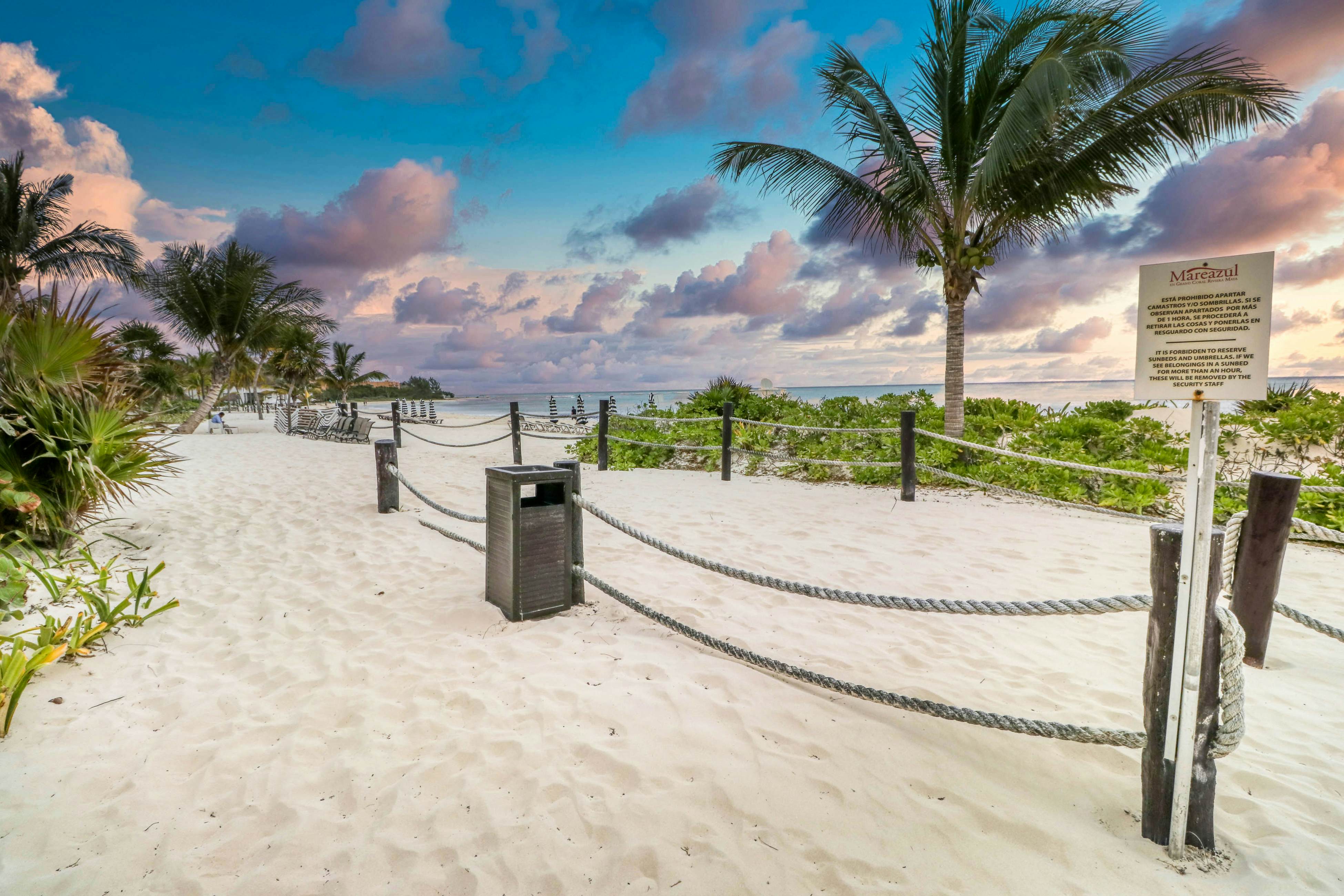 Luxury Palms at Mareazul 436 Norte