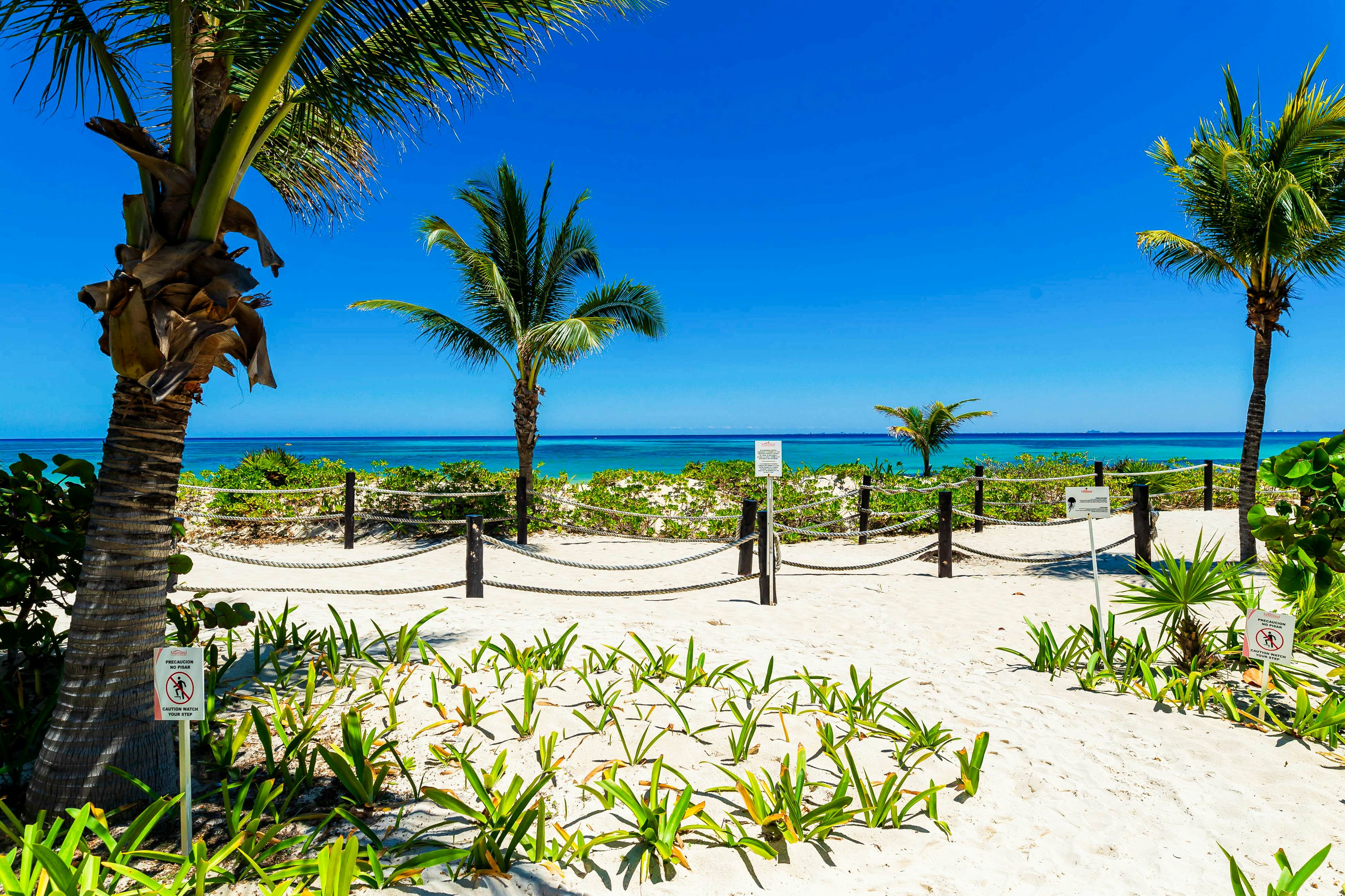 Luxury Palms at Mareazul 436 Norte