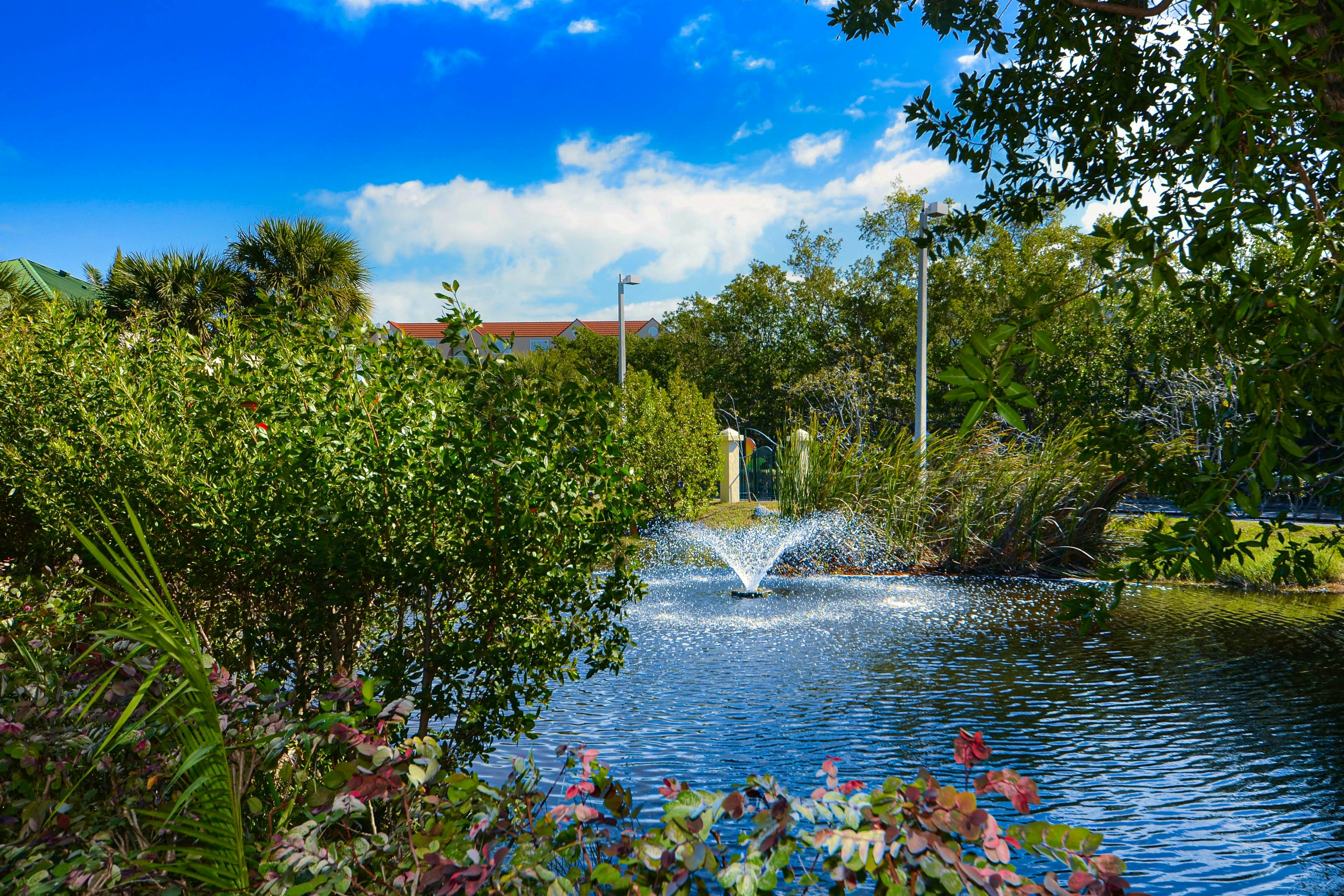 Sunrise Suites - Bonaire Suite 210