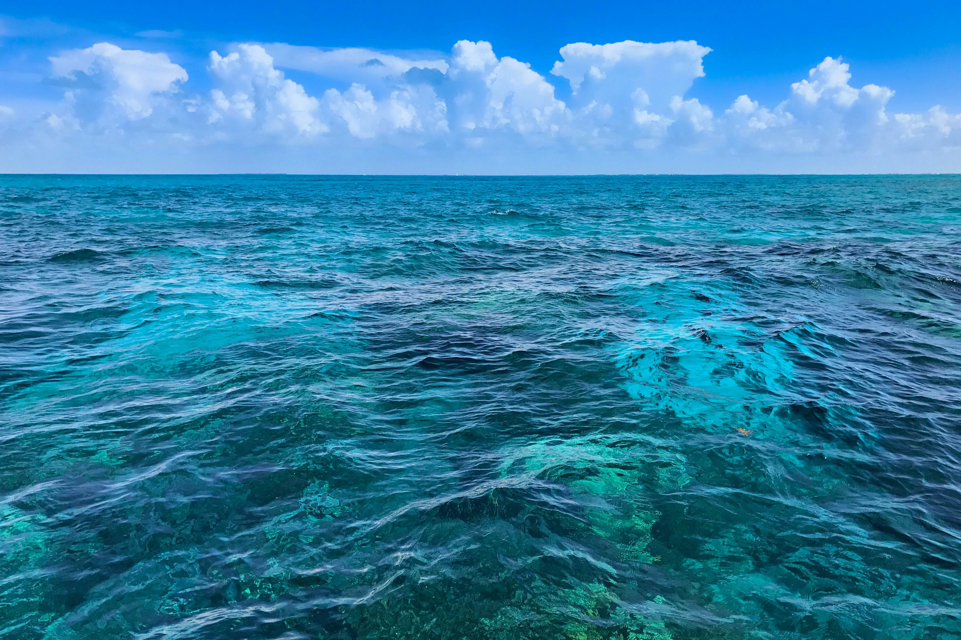 Sunrise Suites - Cozumel Suite 112