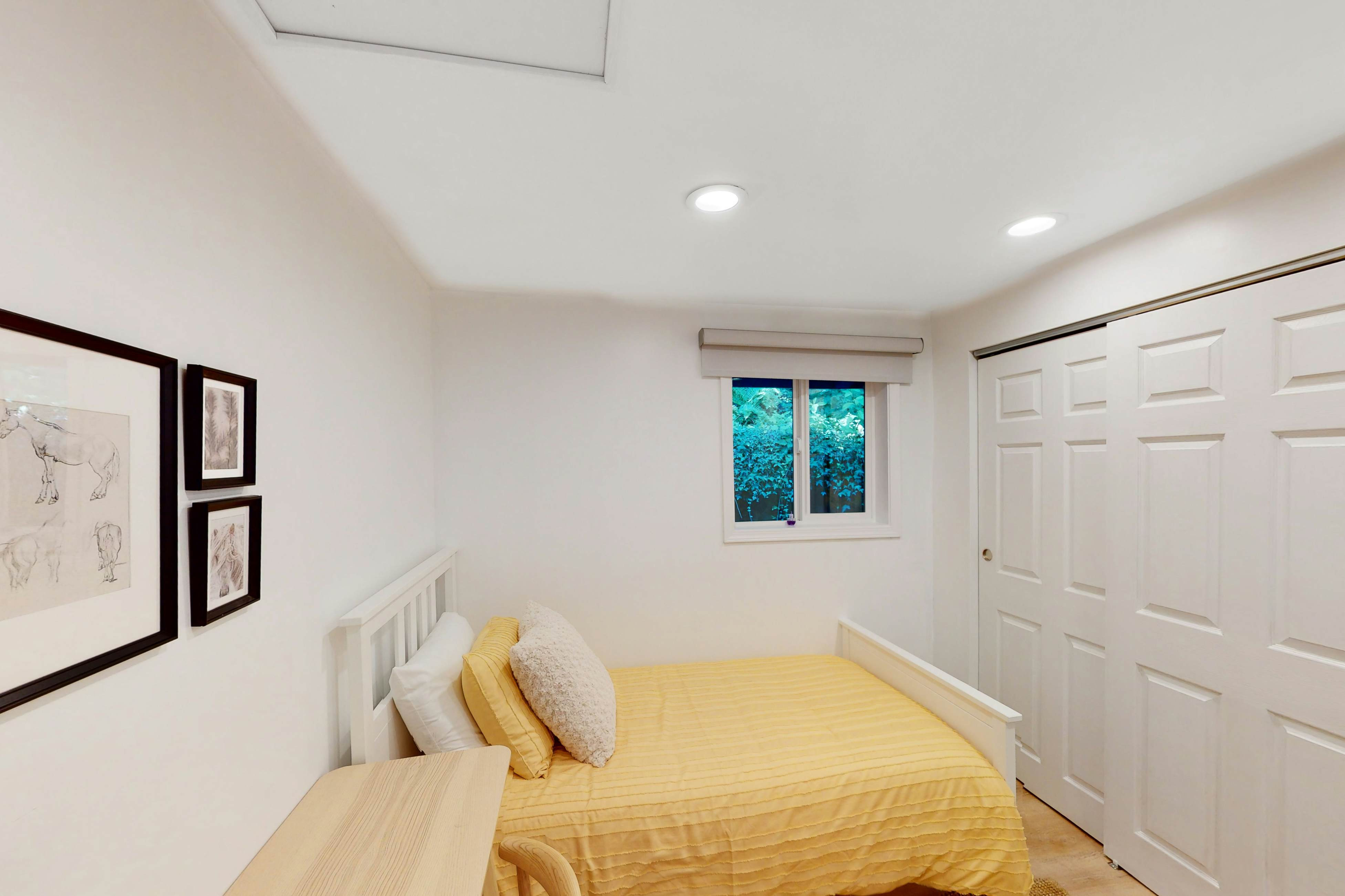 Euphoria on the Fjord