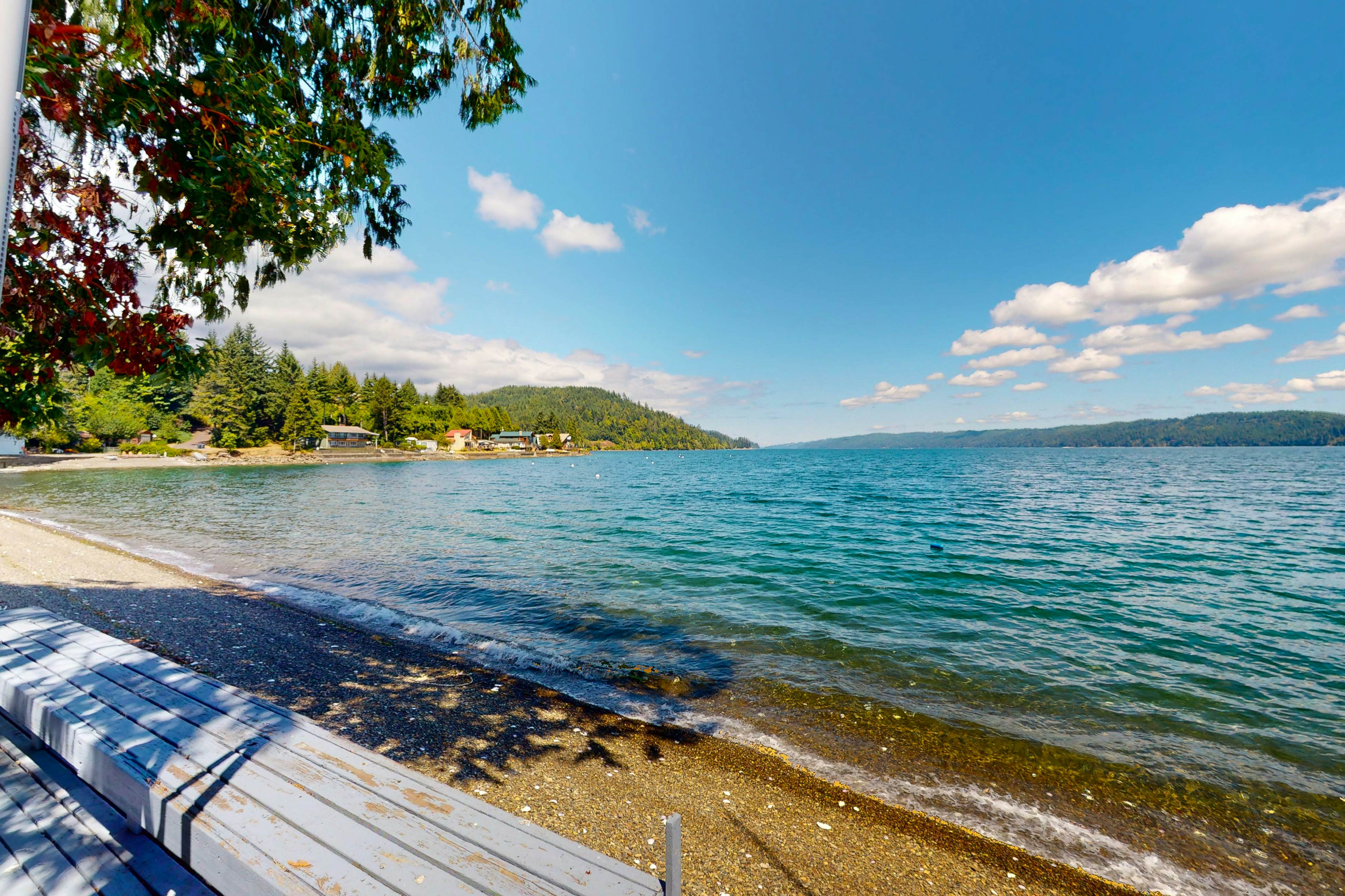 Euphoria on the Fjord