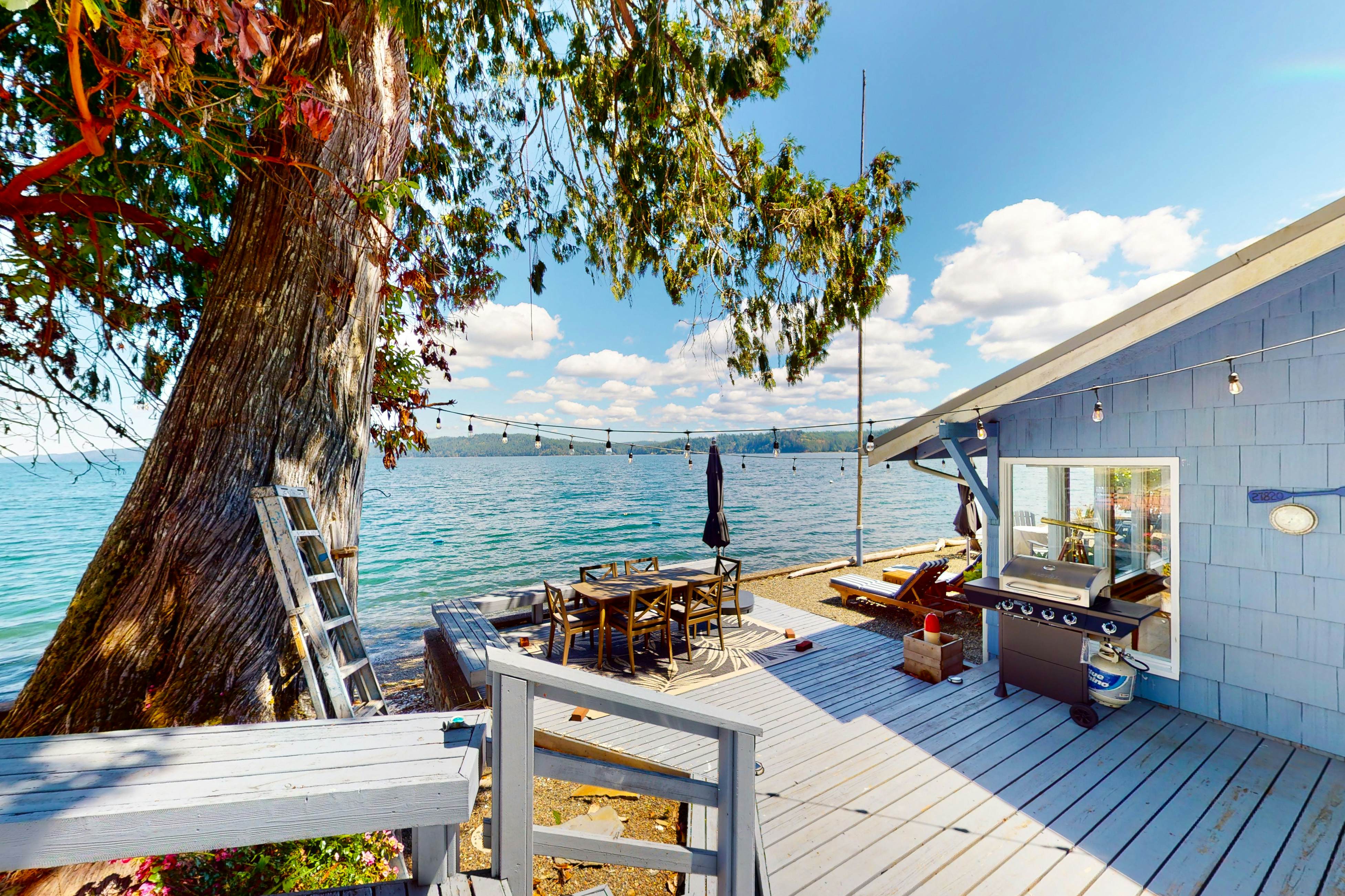 Euphoria on the Fjord