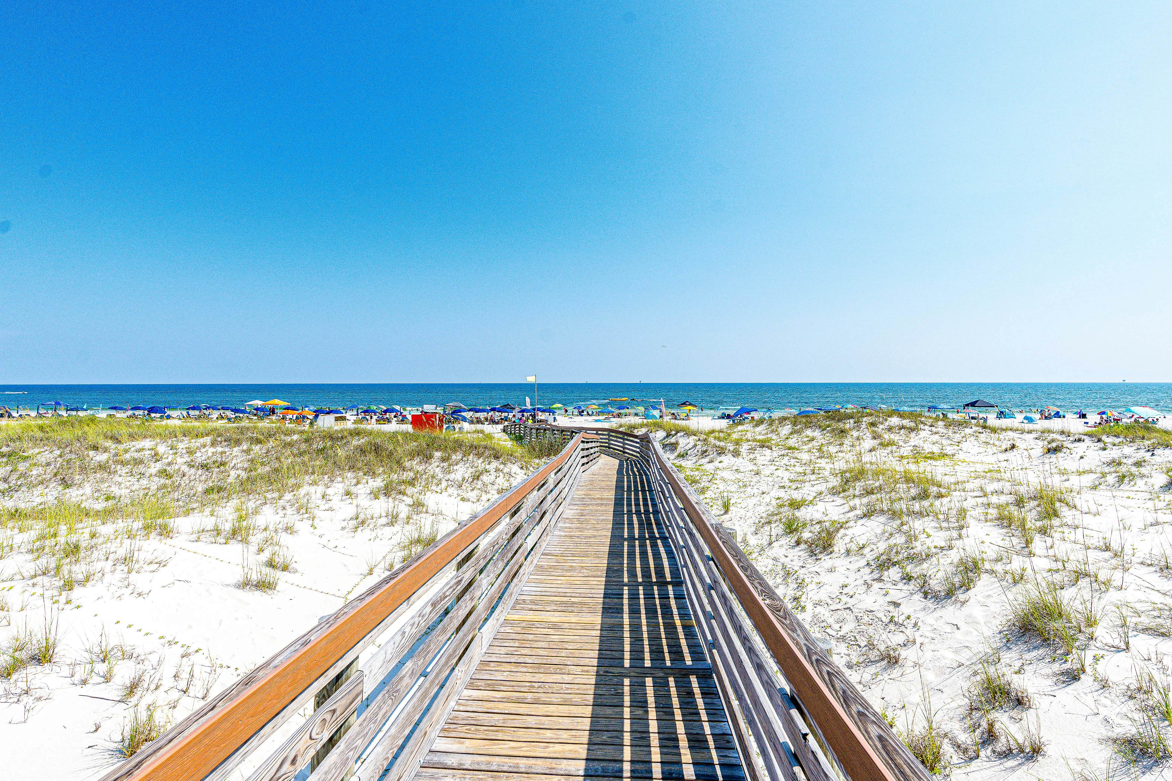 Plantation Palms #6308