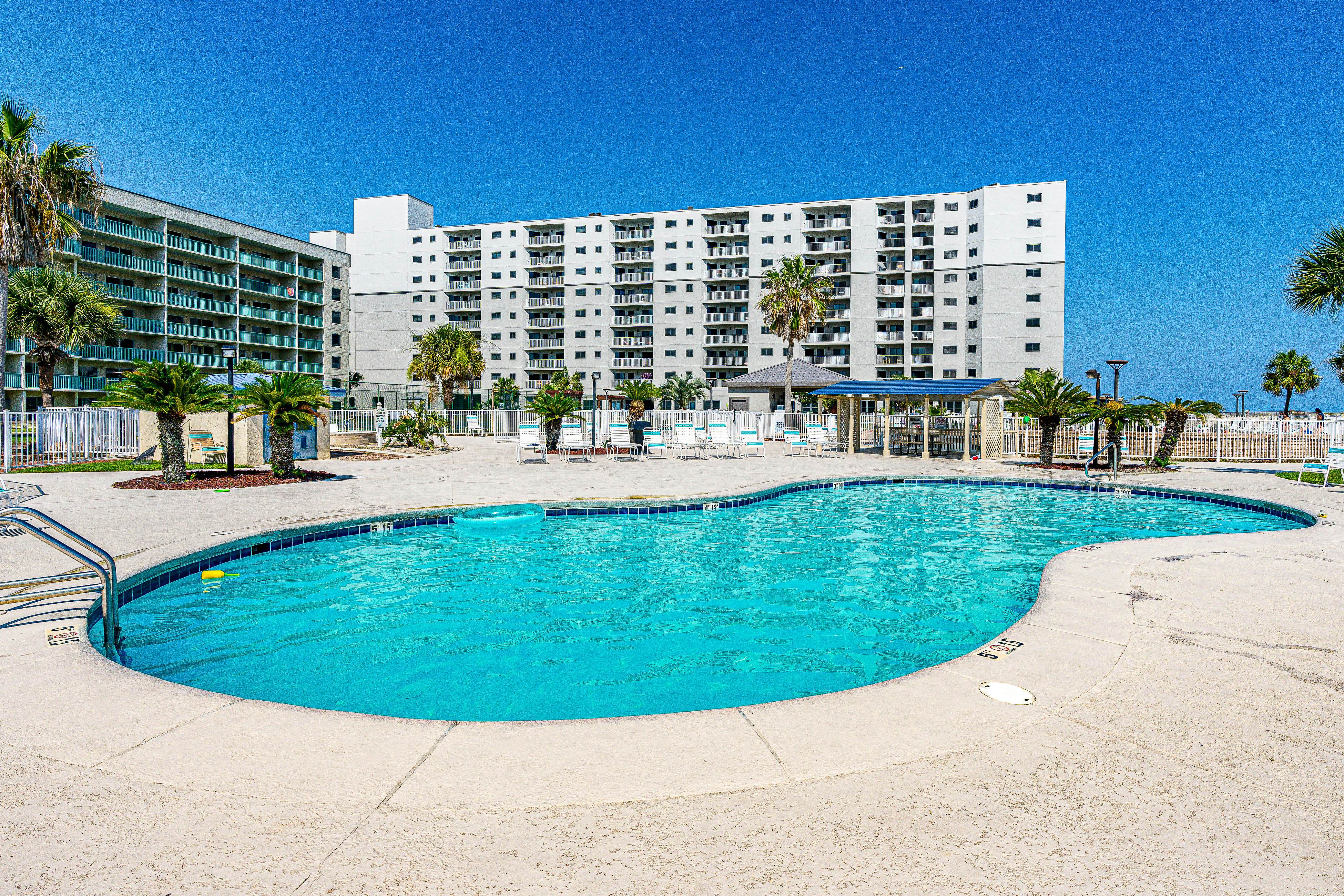 Plantation Palms #6308