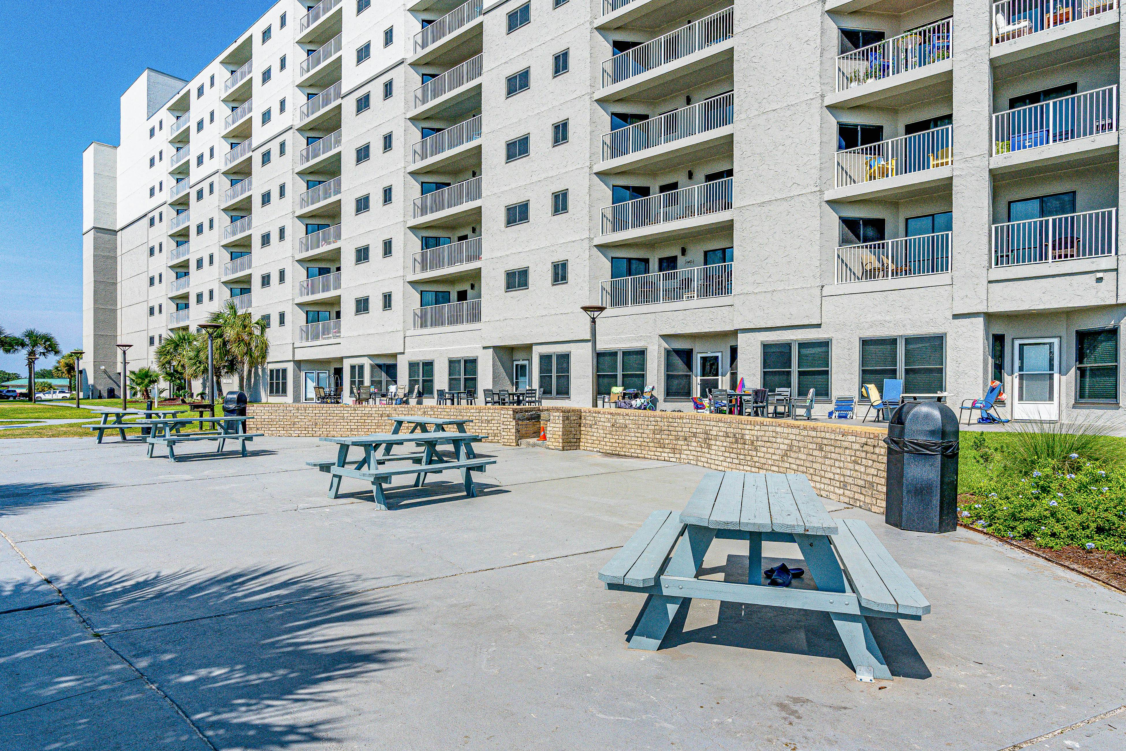 Plantation Palms #6308