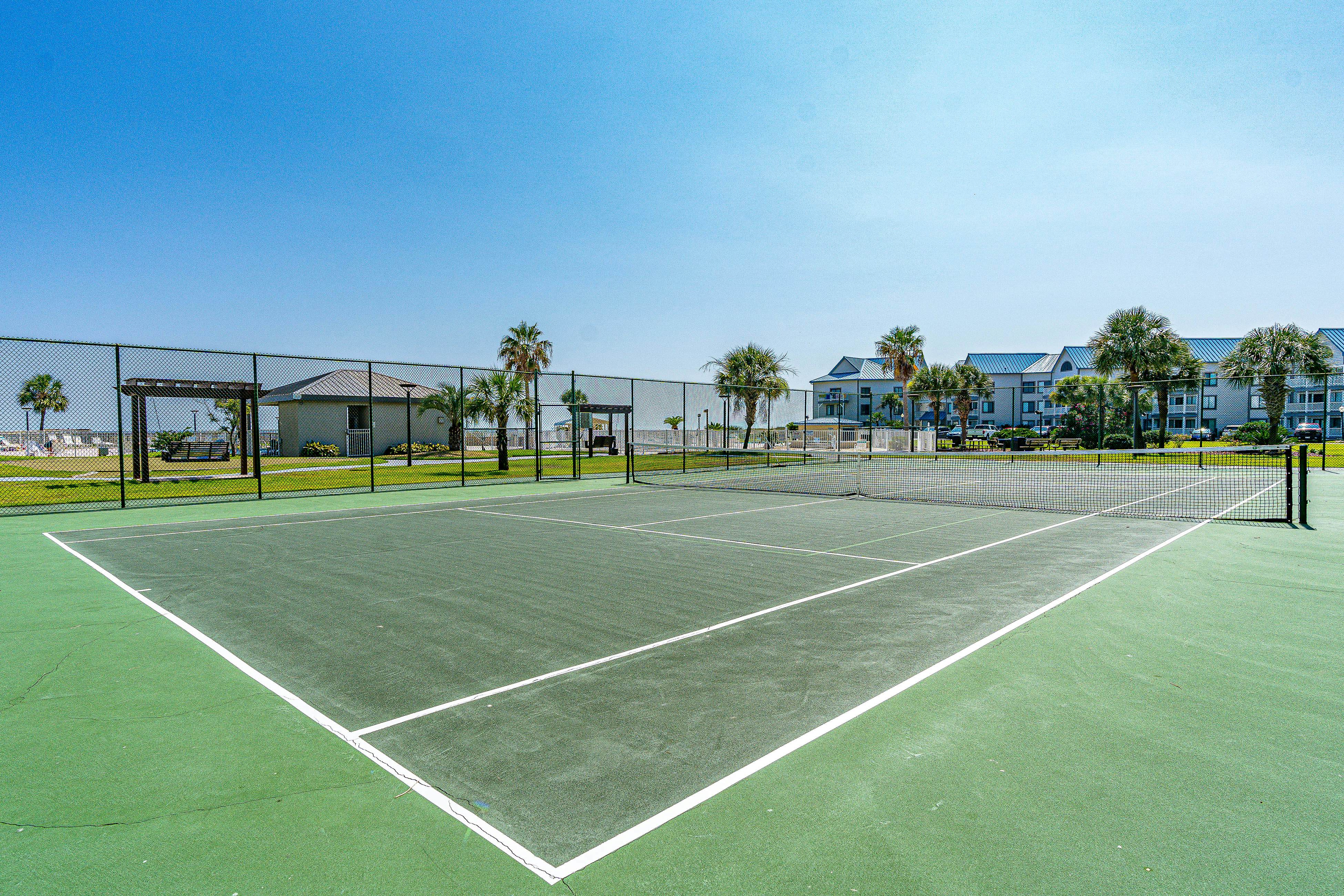 Plantation Palms #6308