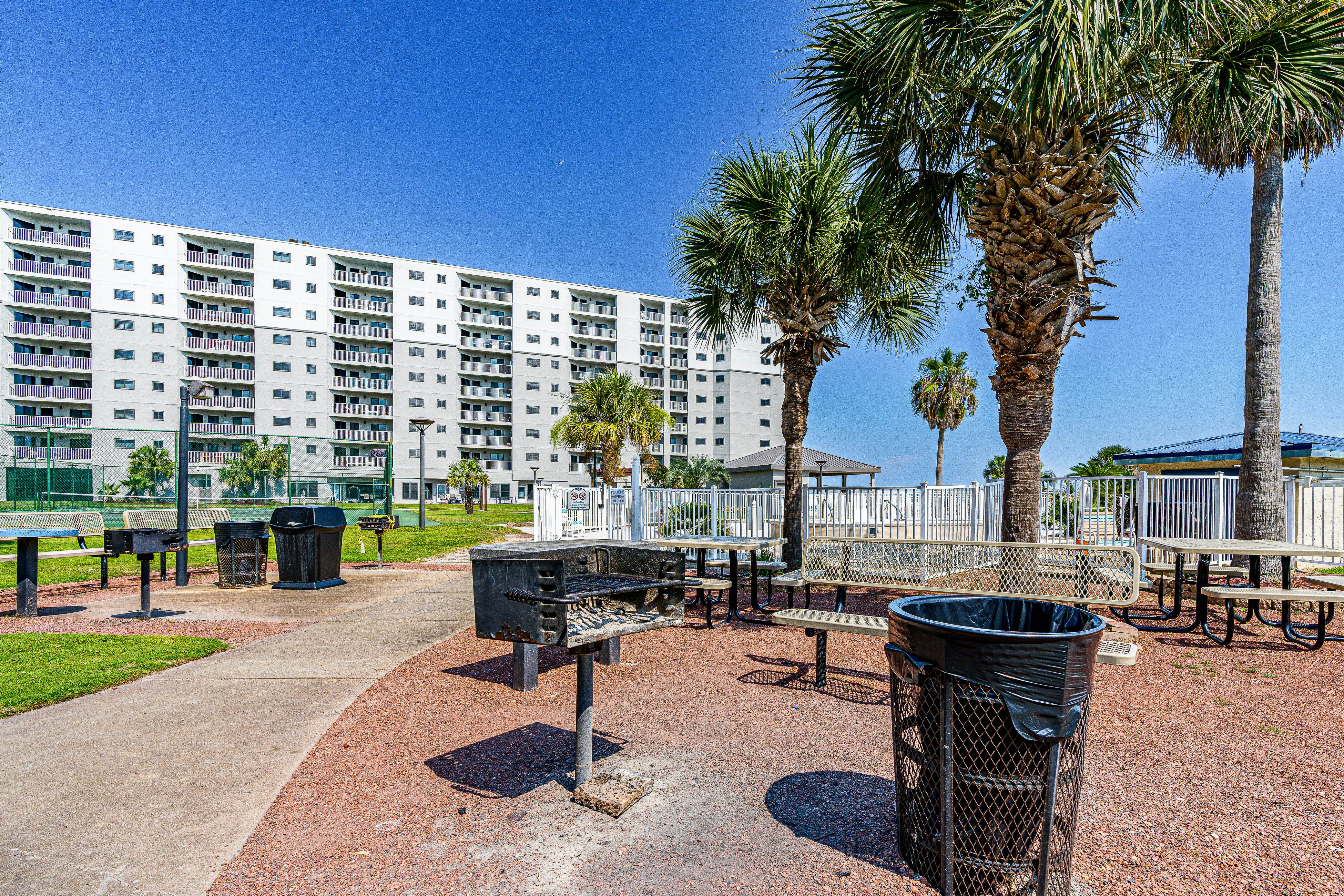 Plantation Palms #6308