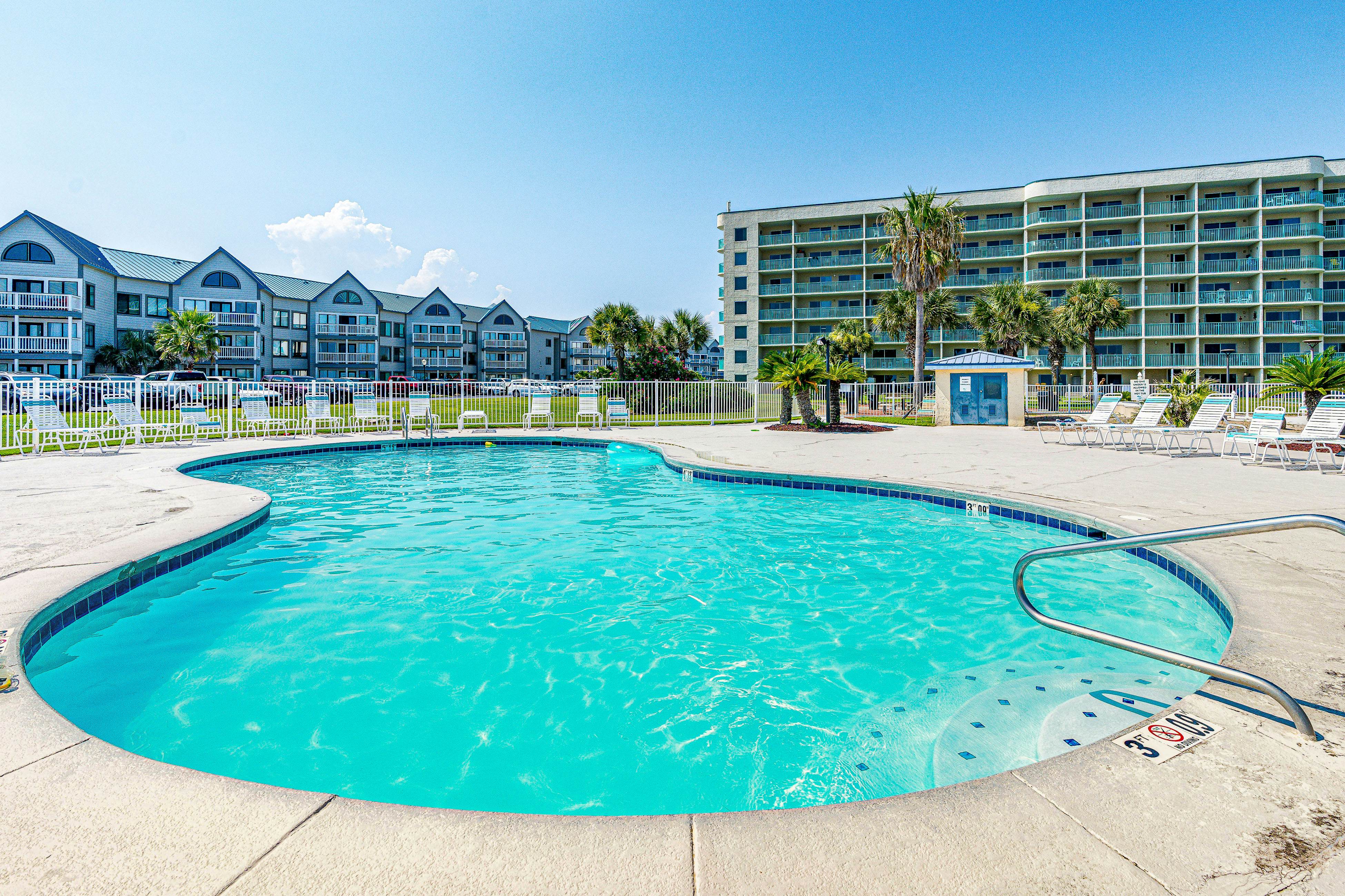 Plantation Palms #6308