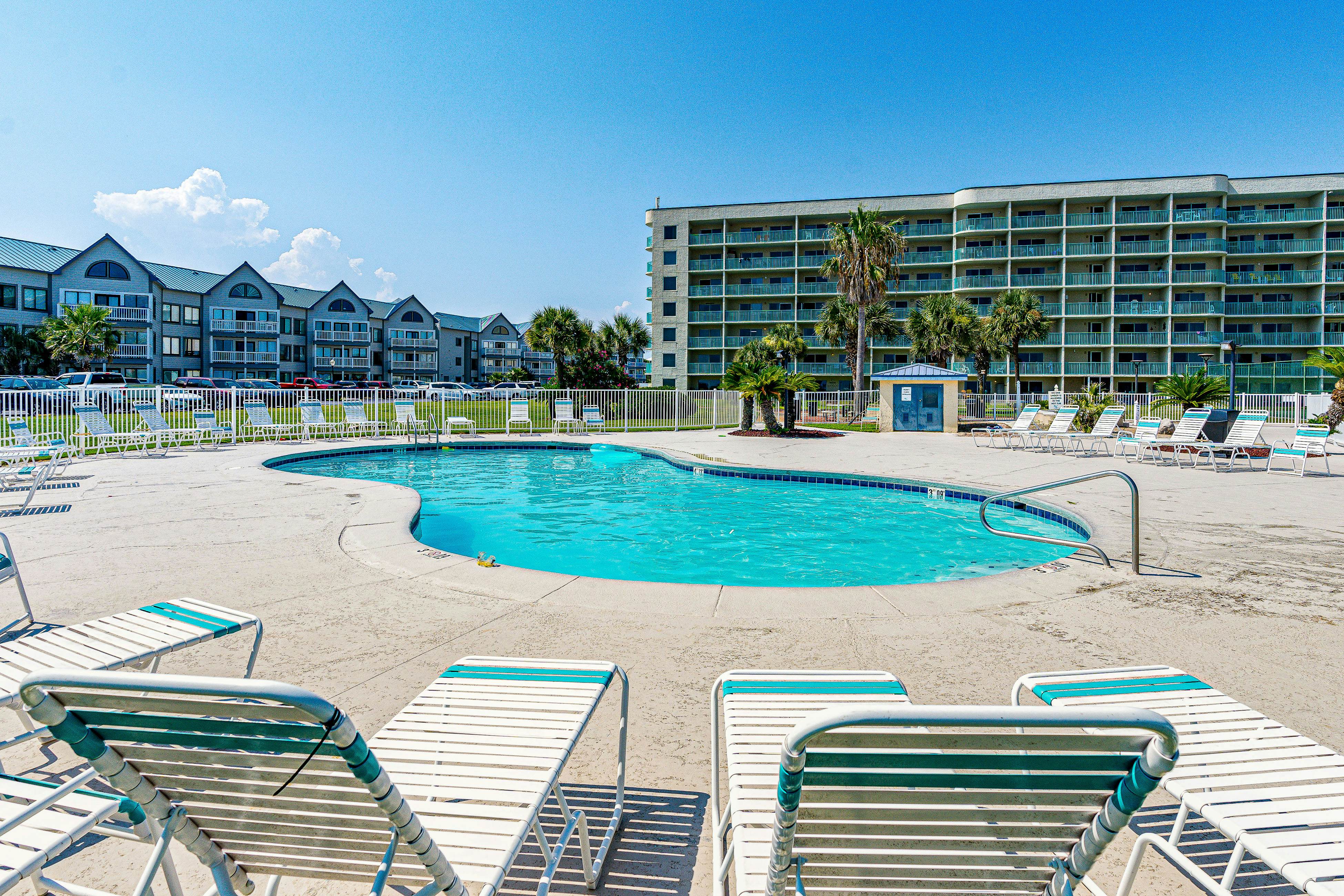 Plantation Palms #6308