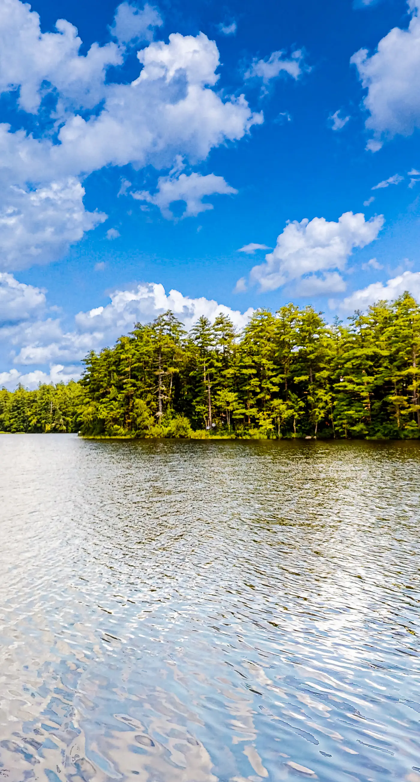 The Three Cornered Pond Retreat