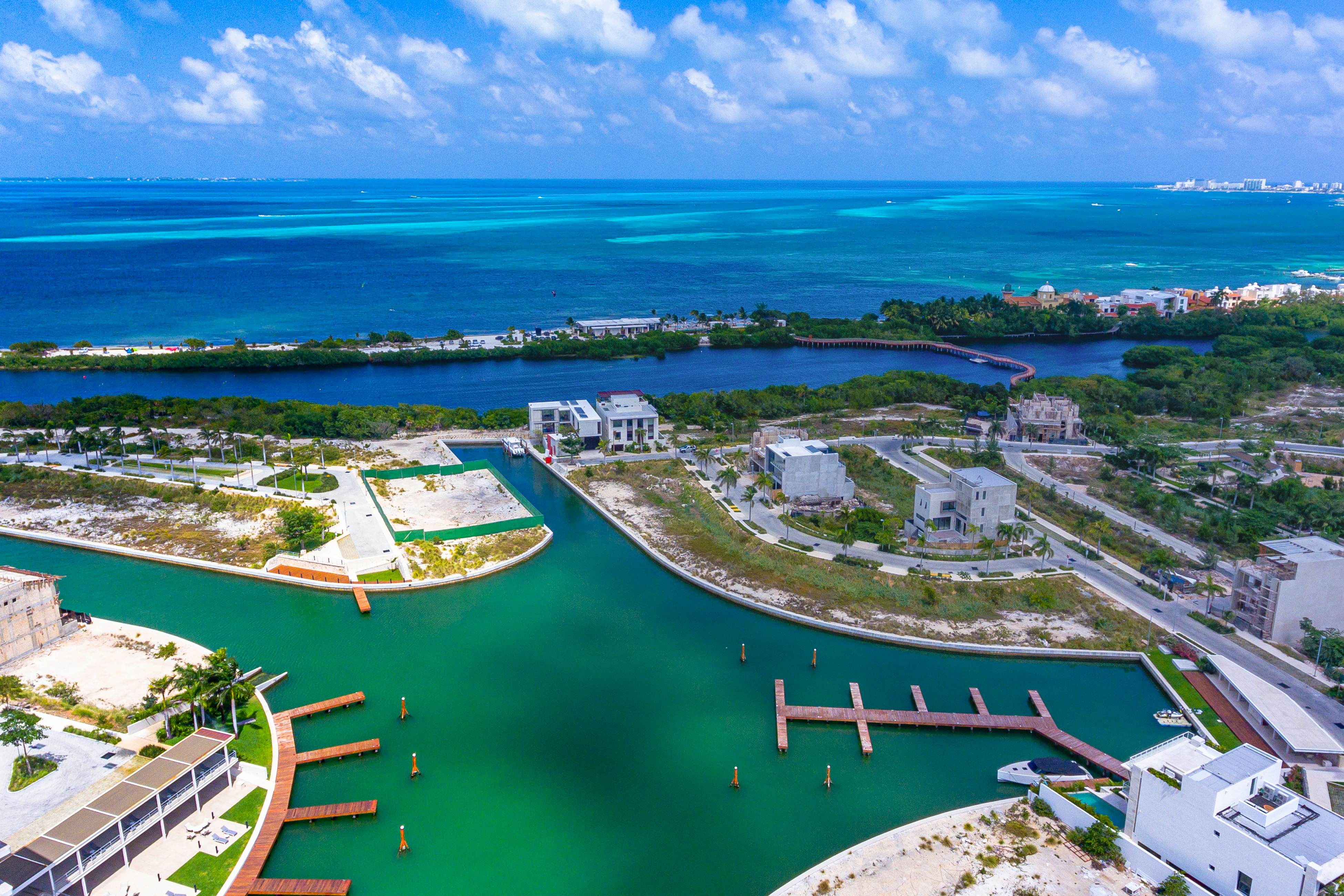 Riva Puerto Cancun # 207, Halibut