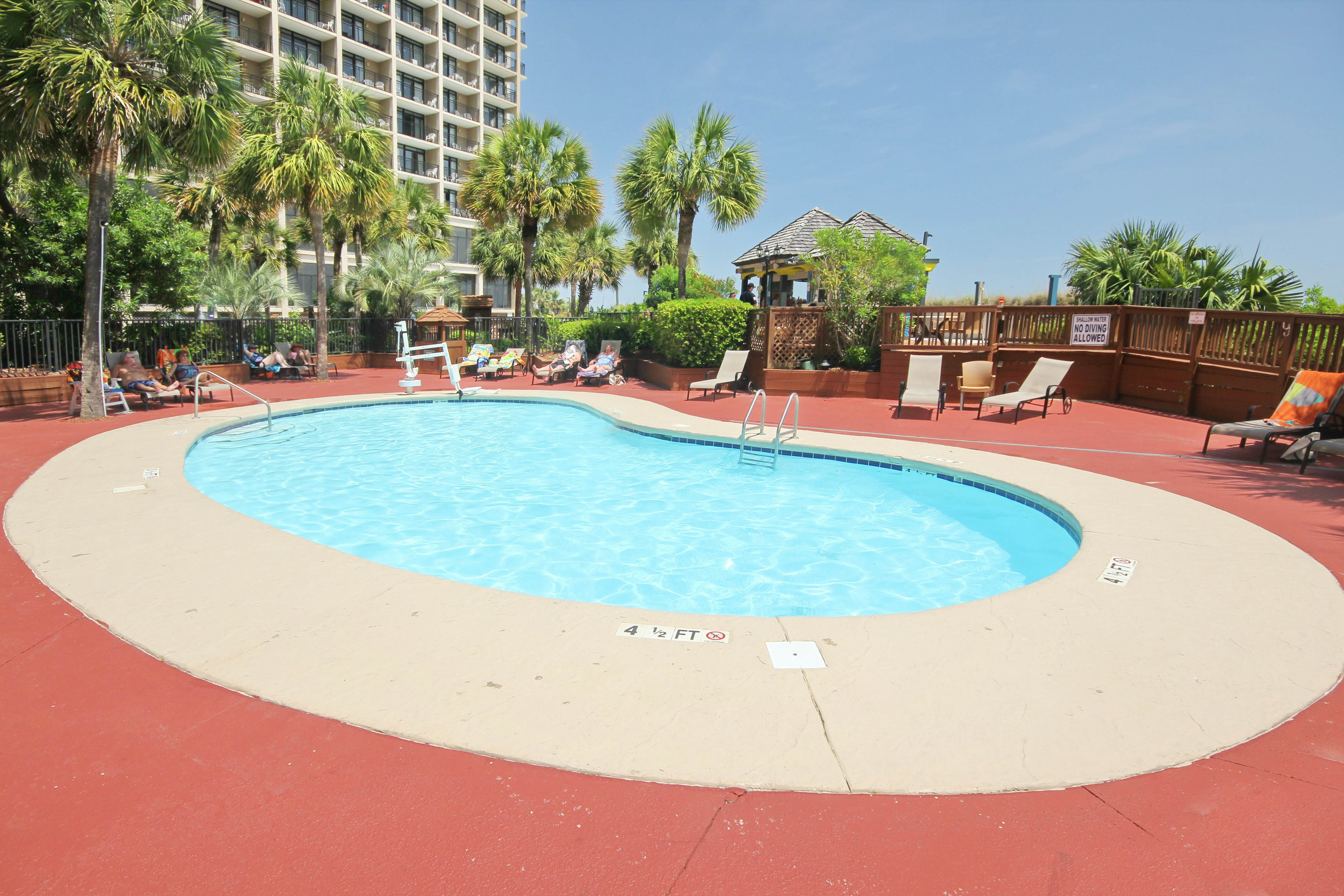 Forever Summer at the Shore