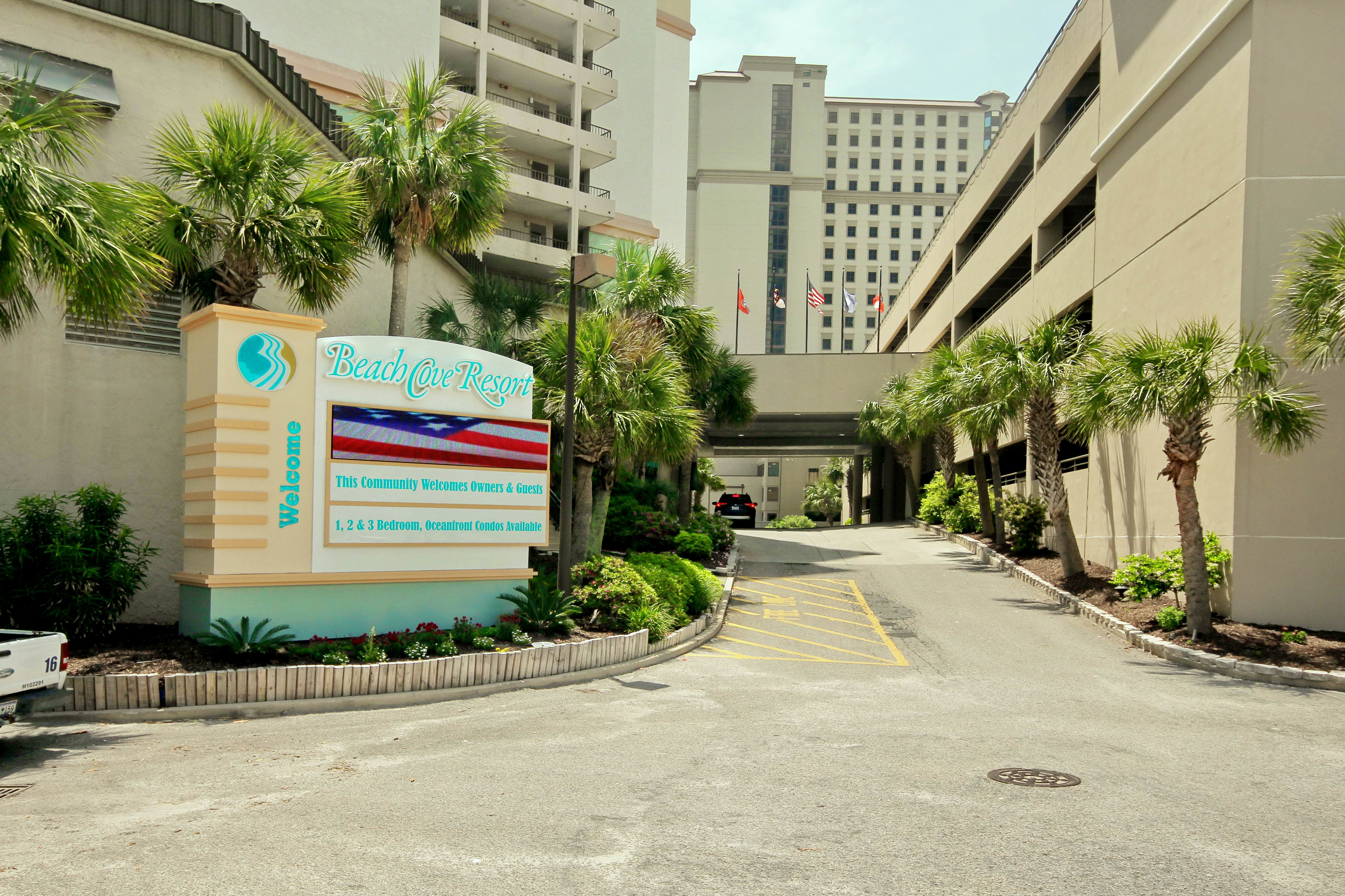 Forever Summer at the Shore