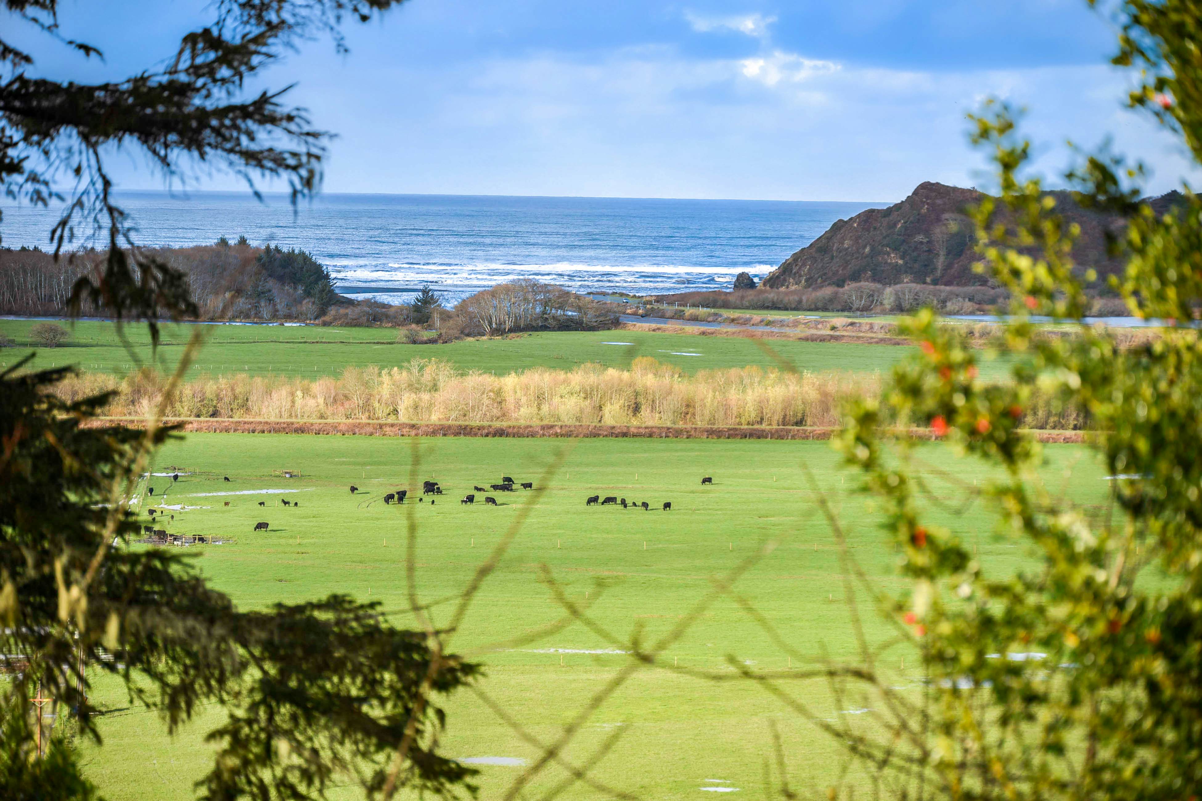 Viewcrest Retro Country Home