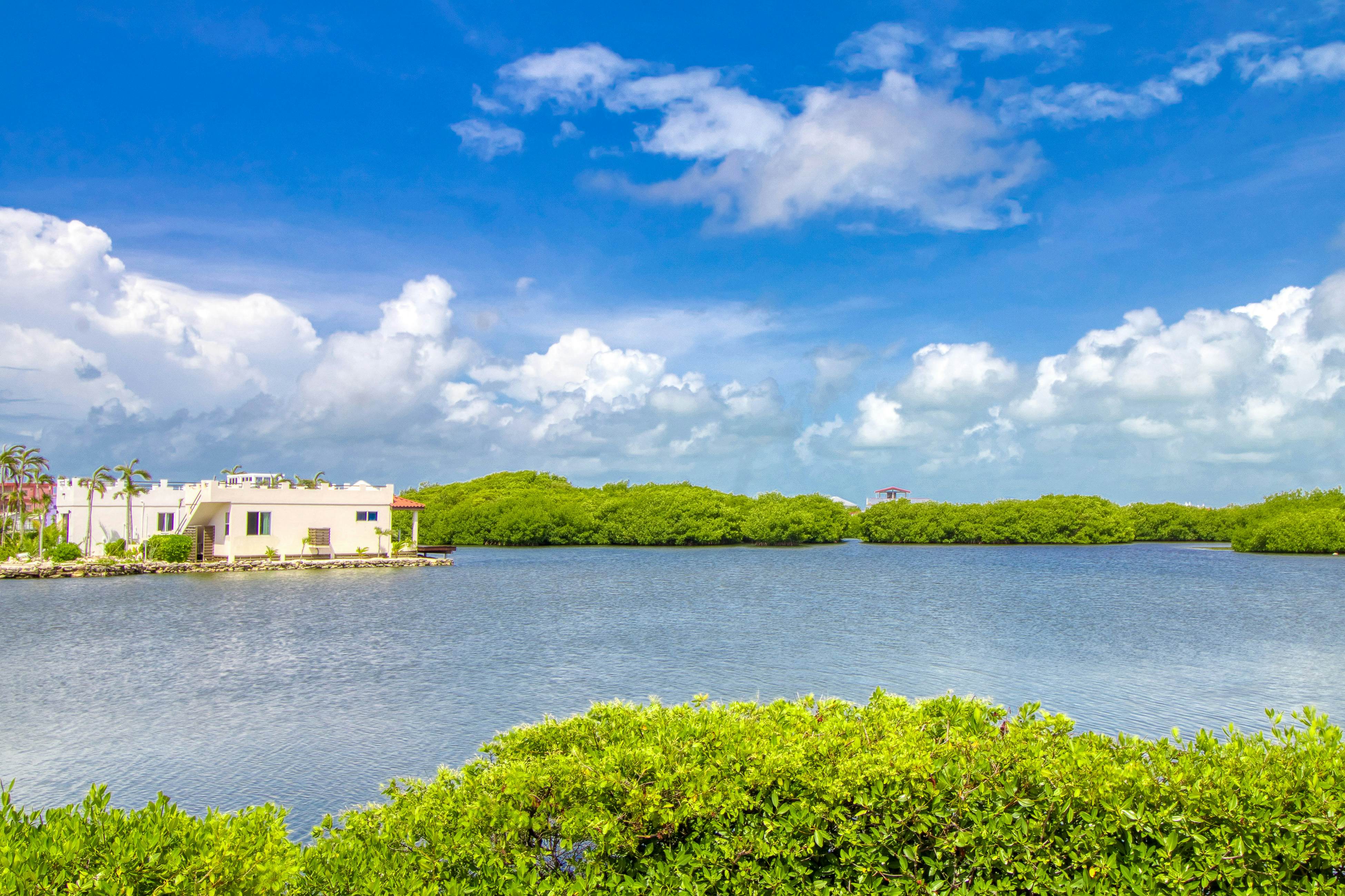 Orange Blossom Villa 32