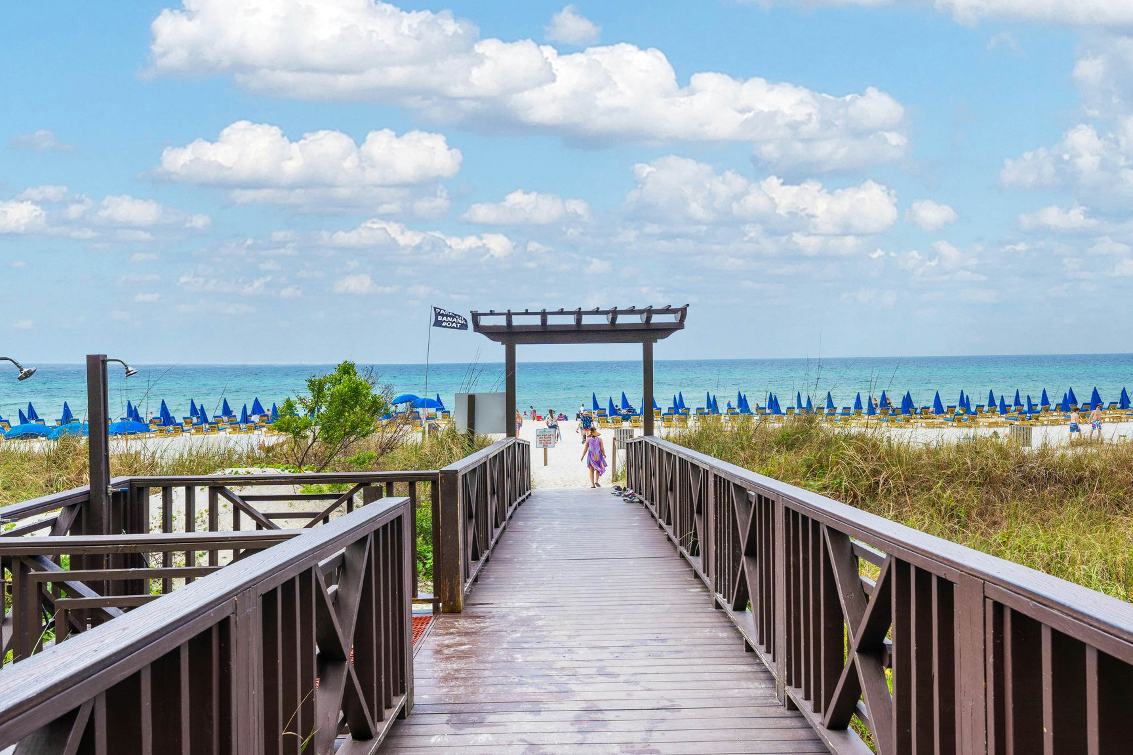 Shores of Panama 2104