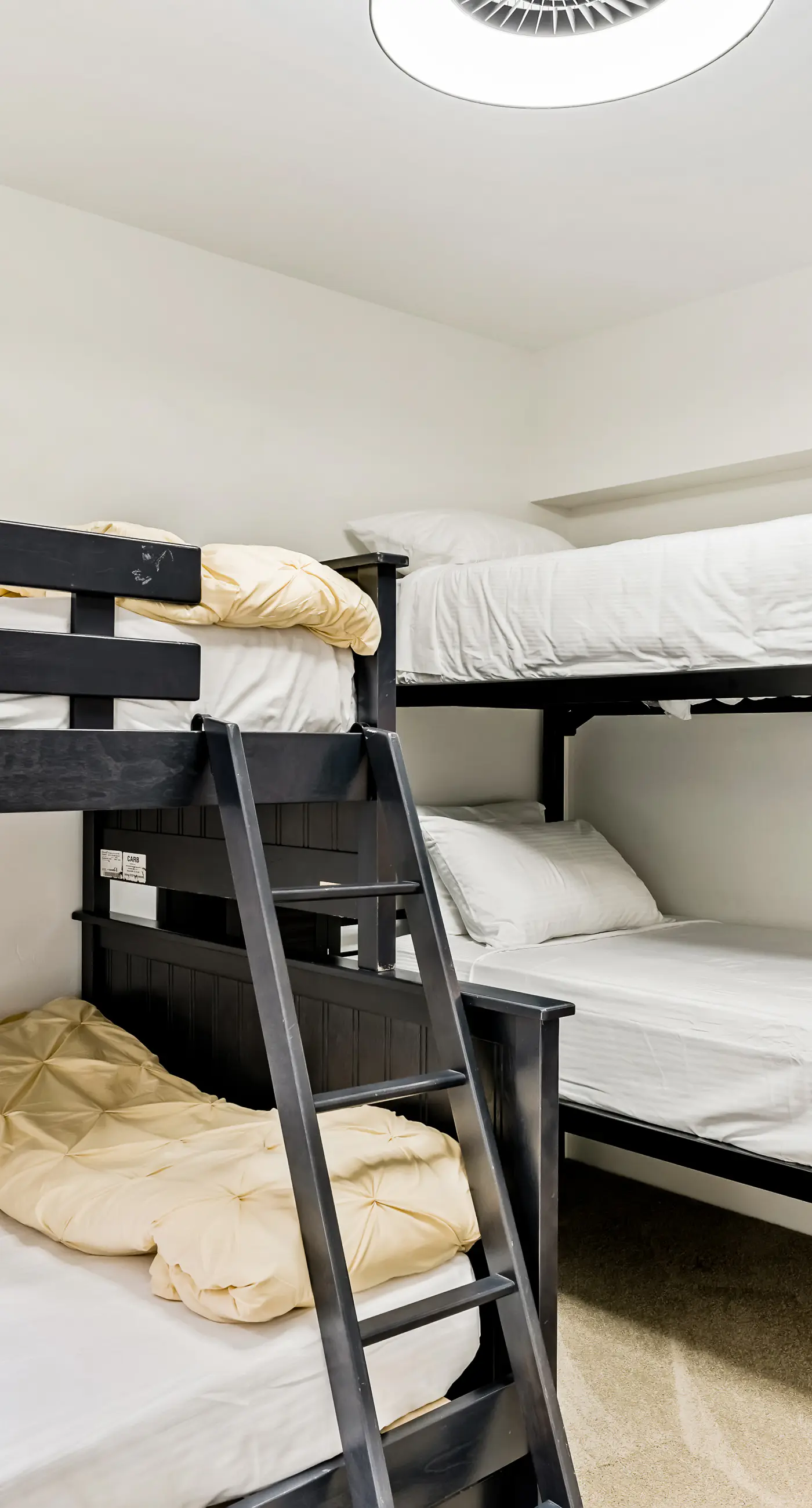 Foxy Lady, A Mountain Vista Retreat