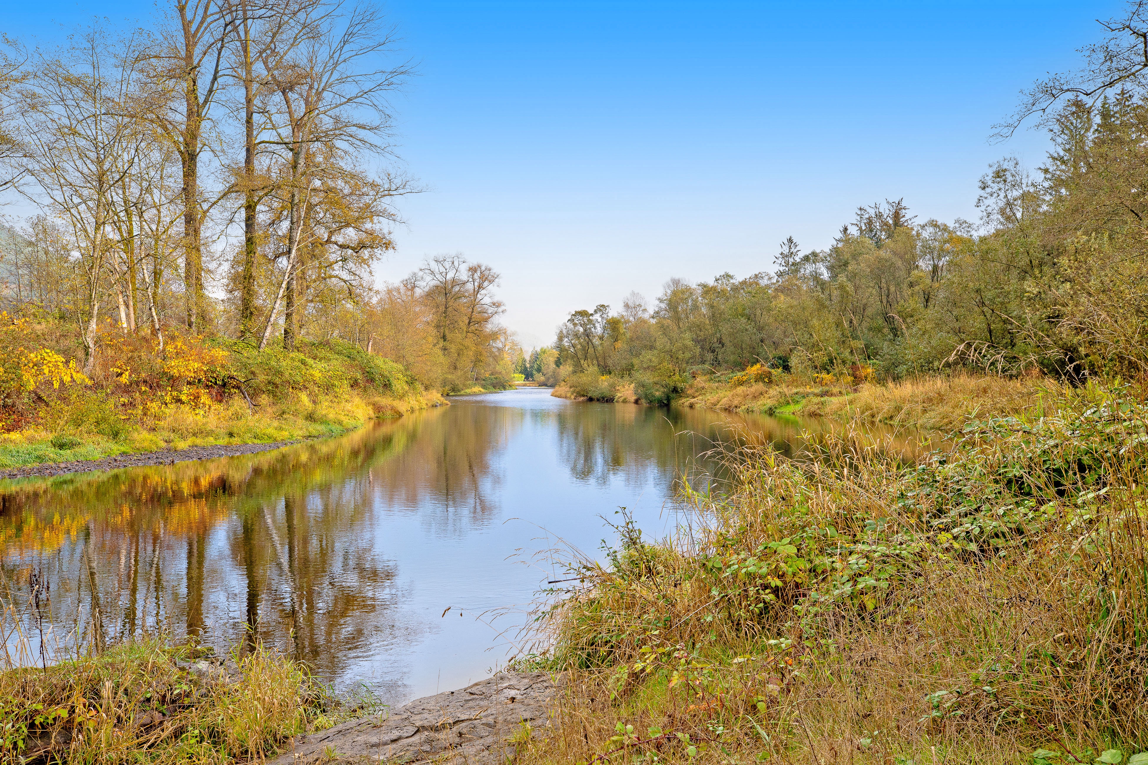 Trask River Ranch Plus 4 BD Tillamook OR Vacation Rental Vacasa