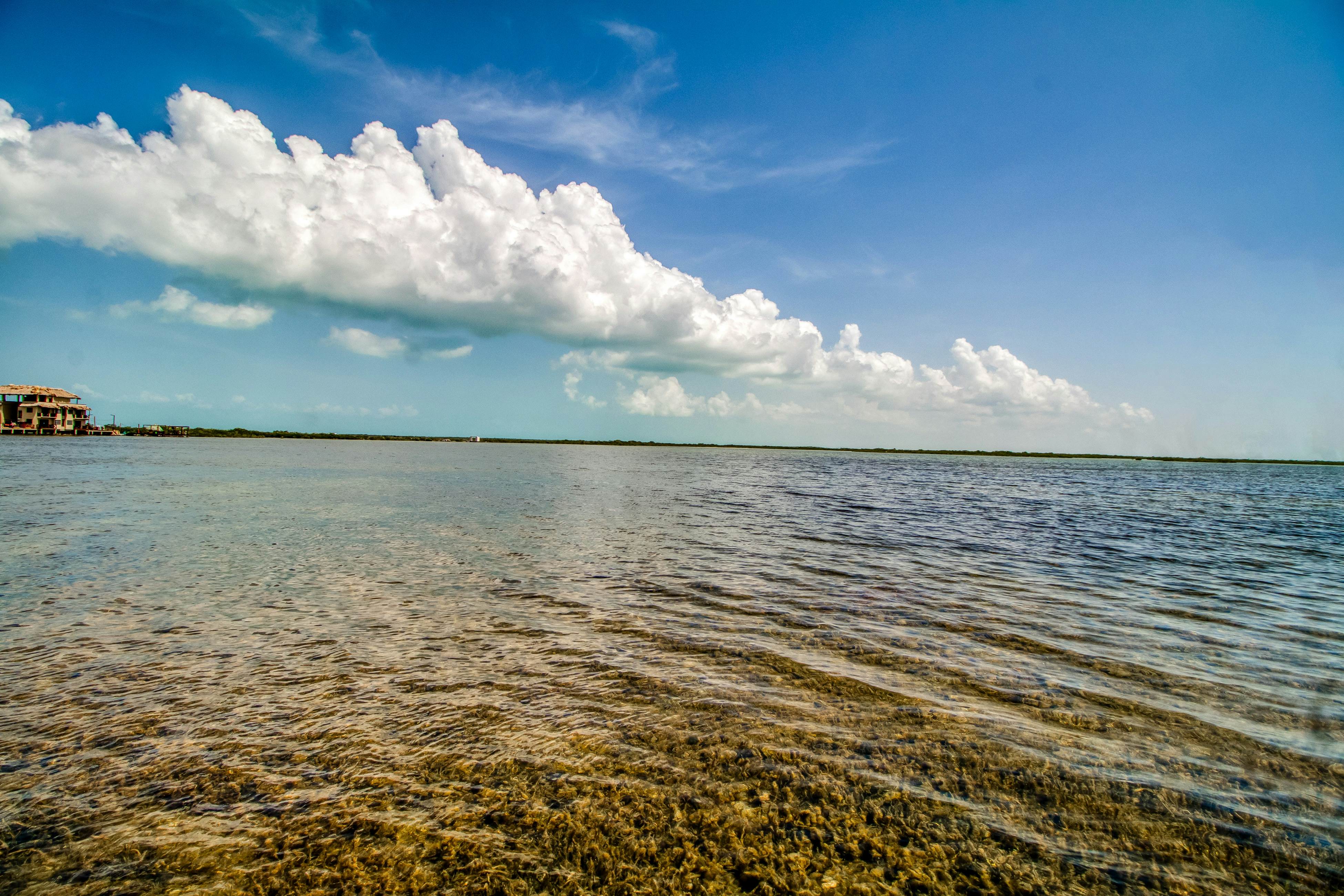 Orange Blossom Villa 32