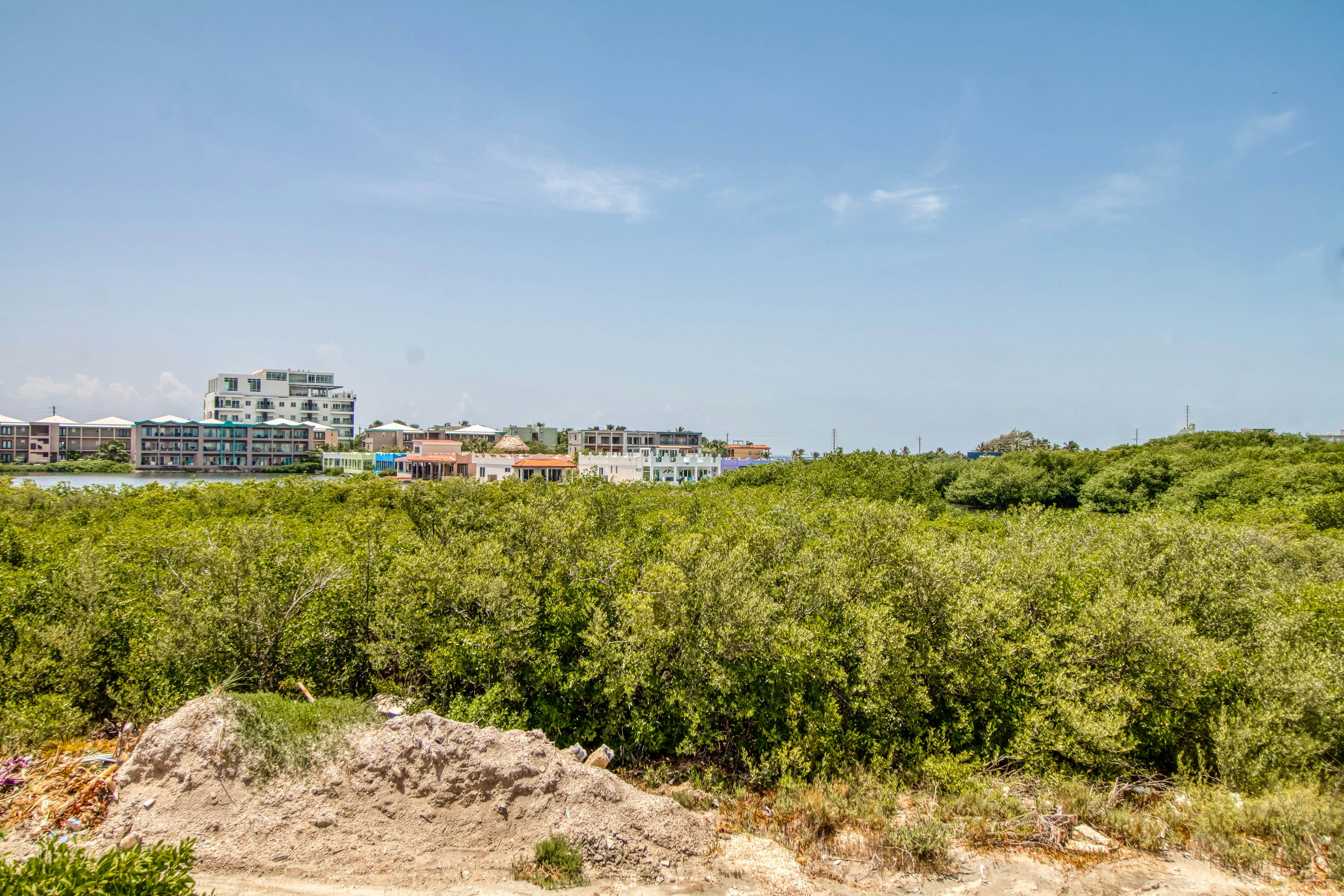 Orange Blossom Villa 32