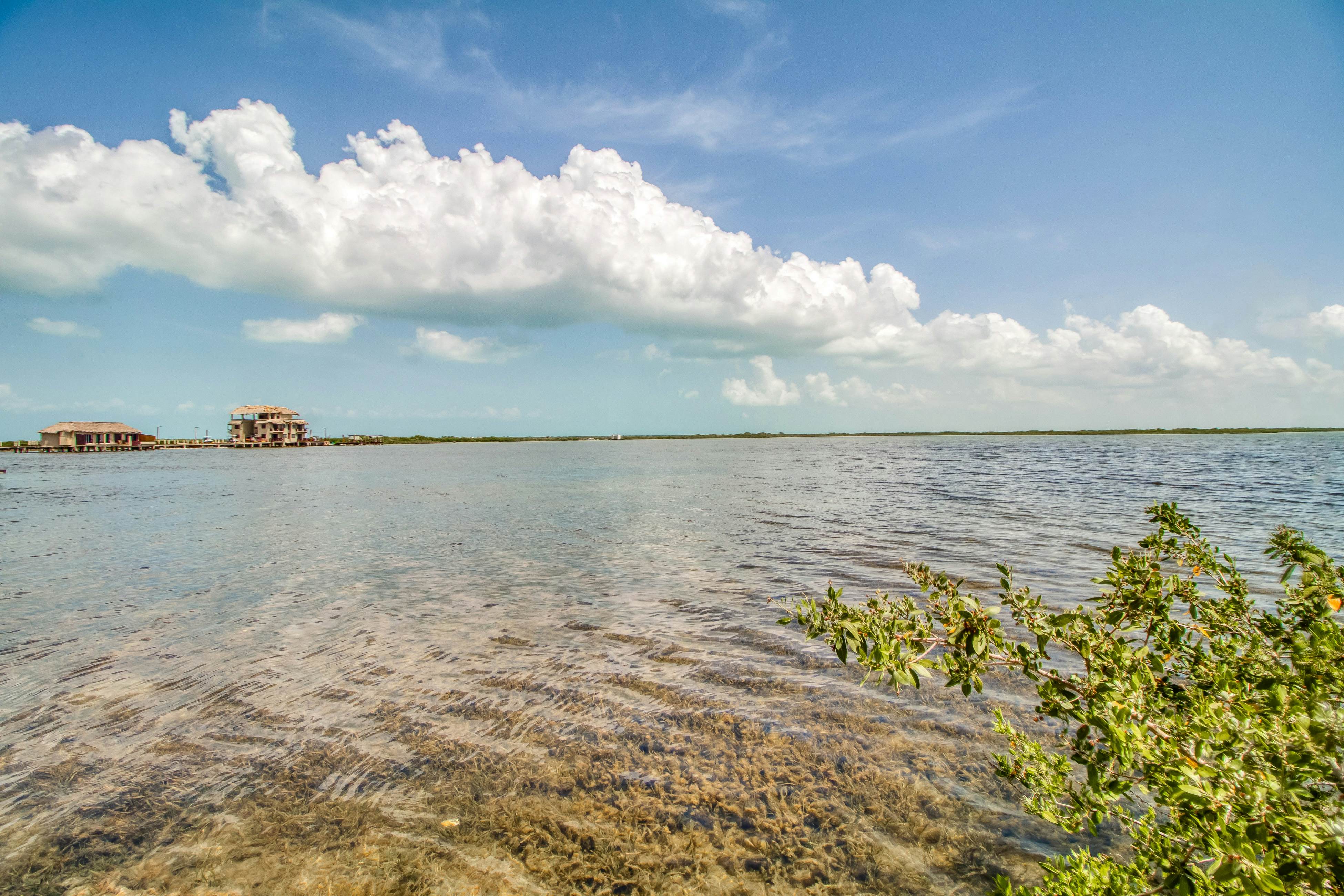 Orange Blossom Villa 32