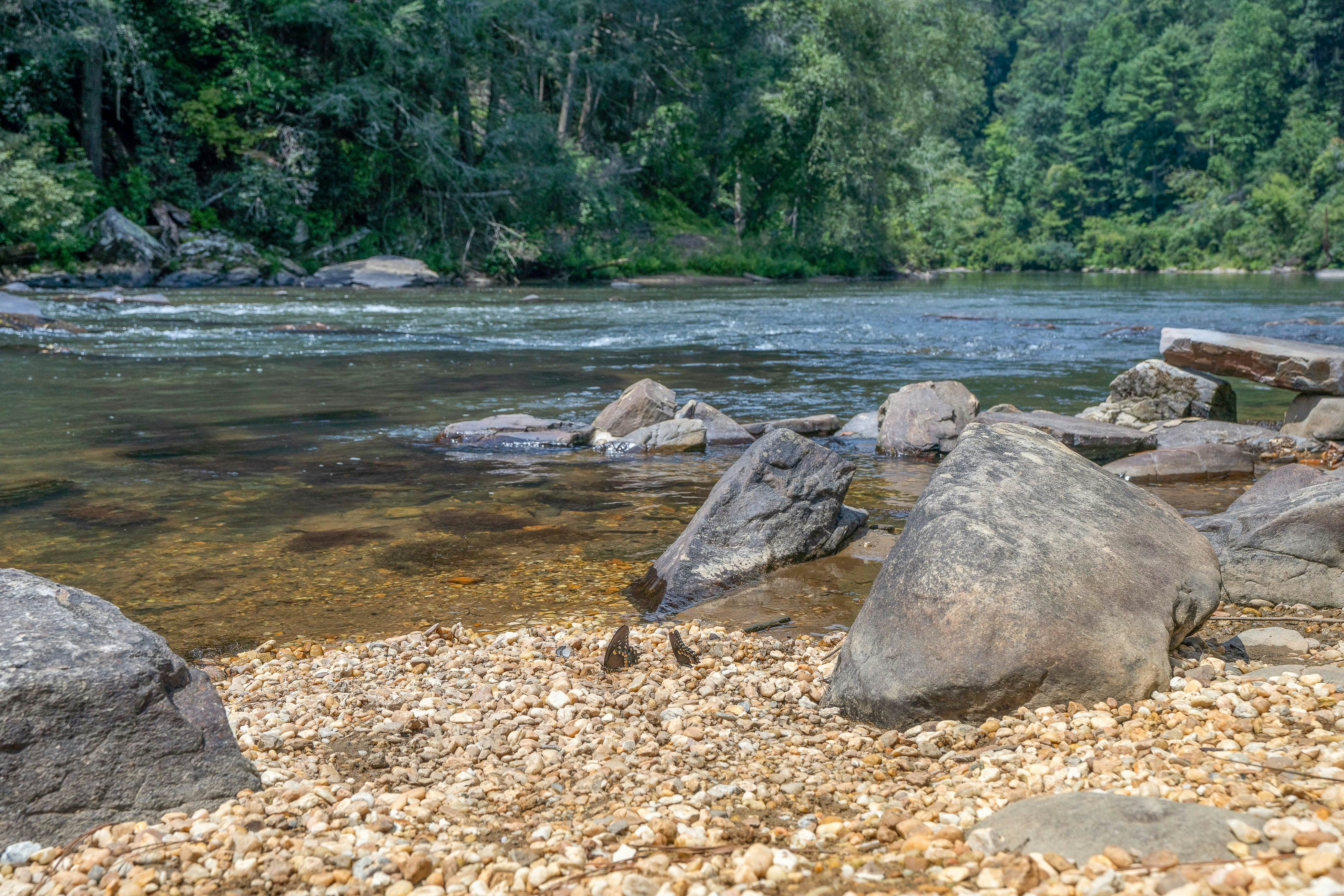 Mountain Peak Lodge - Cabin & Game Room Retreat 