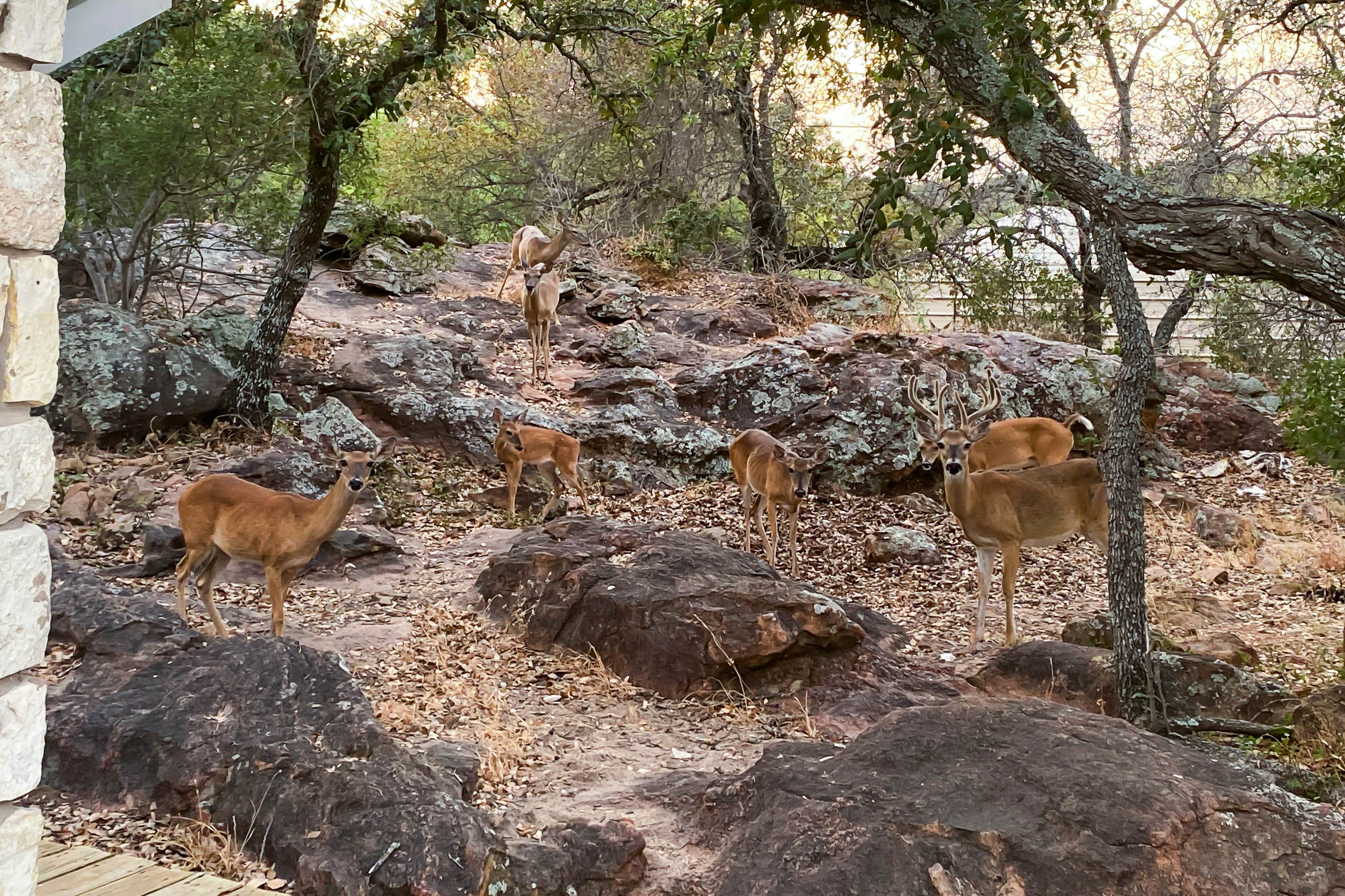Granite Peak Vista - Inks Lake