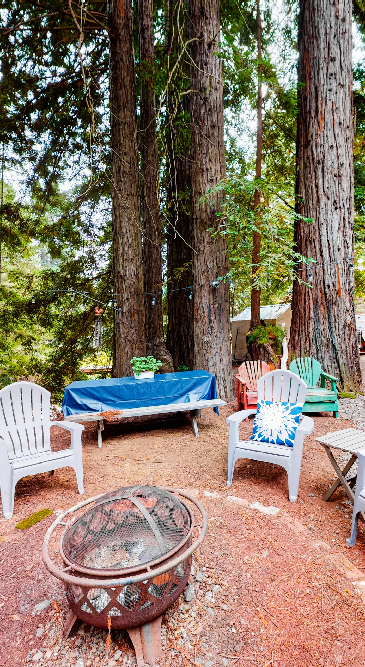Gather around the fire pit on your outdoor deck, where evenings are filled with stories and laughter under the towering trees.