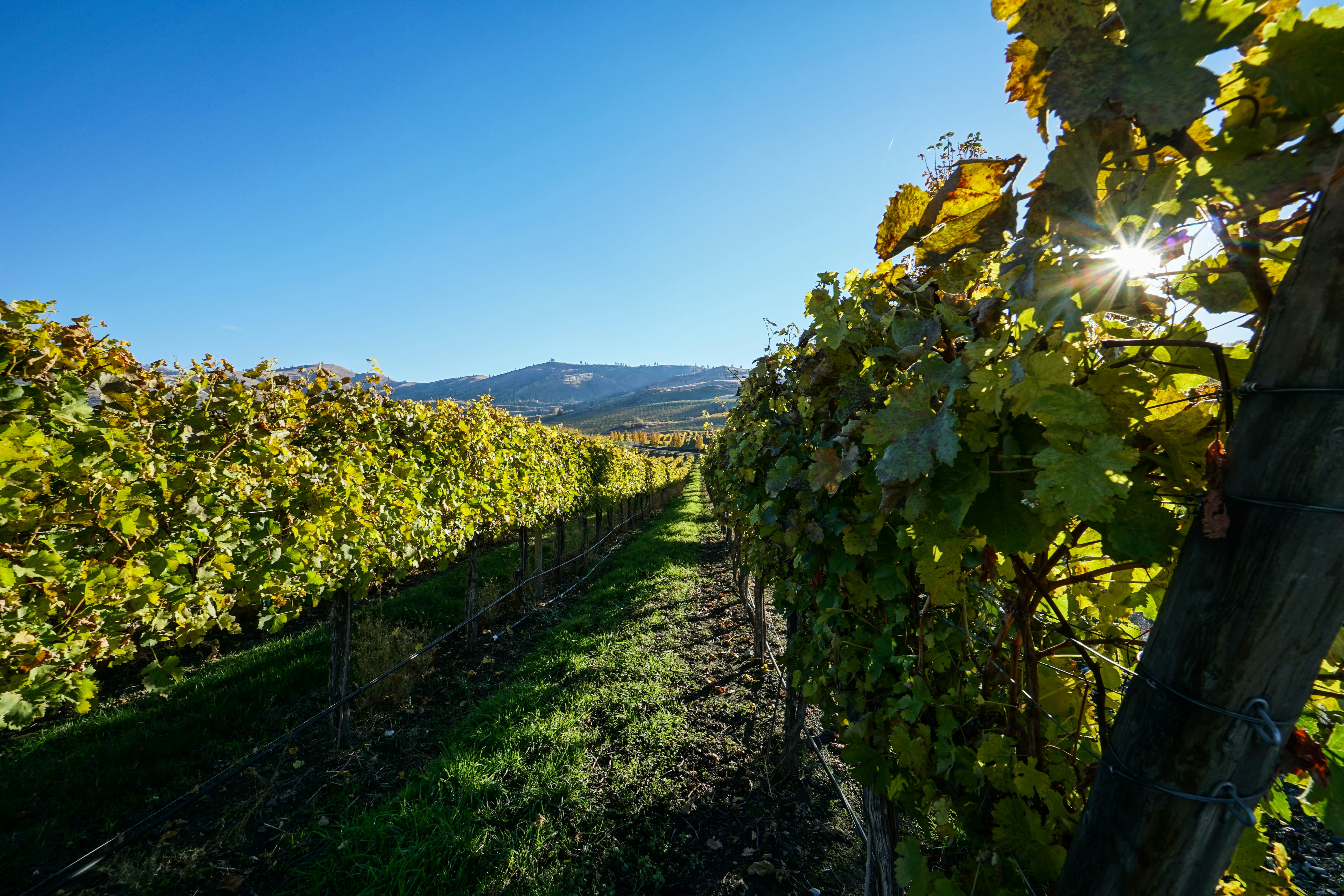 Lake Chelan Shores - Sunset Condo #13-4