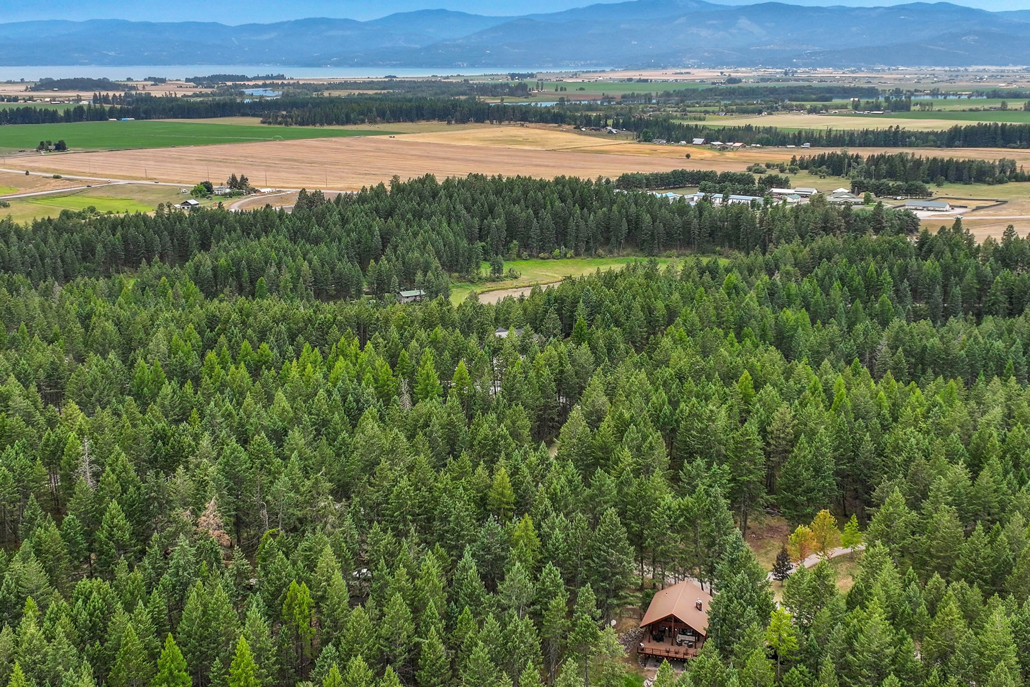Log Cabin Lookout