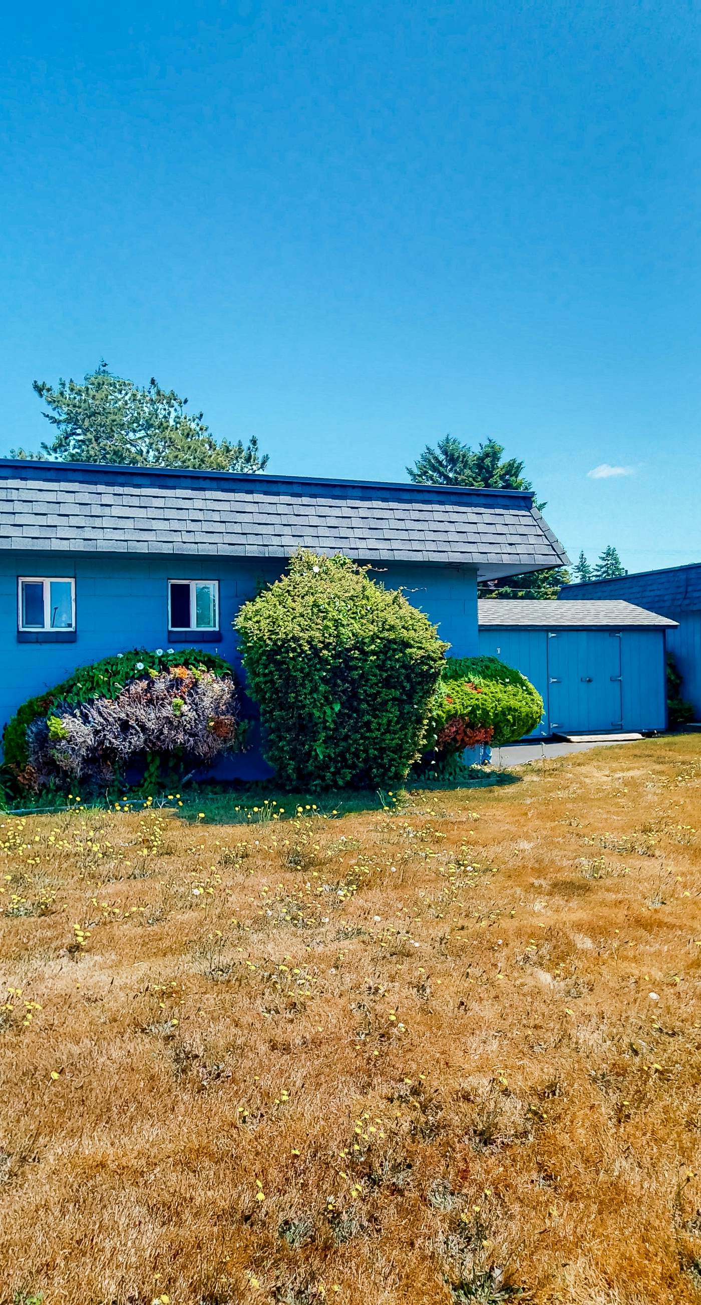 Lamplighter Inn - 104 Sea Lion Cave