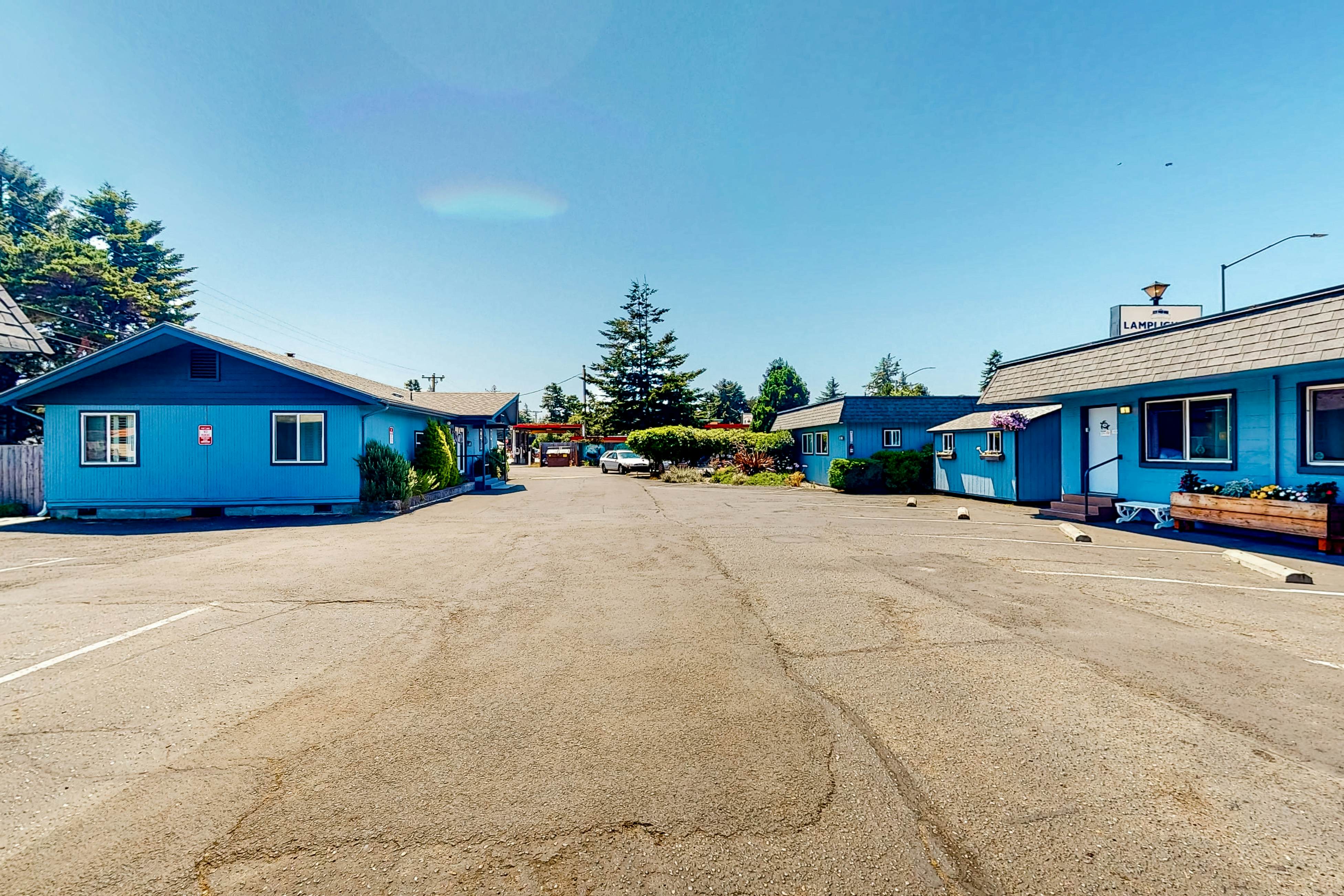 Lamplighter Inn - 112 Octopus Encounter