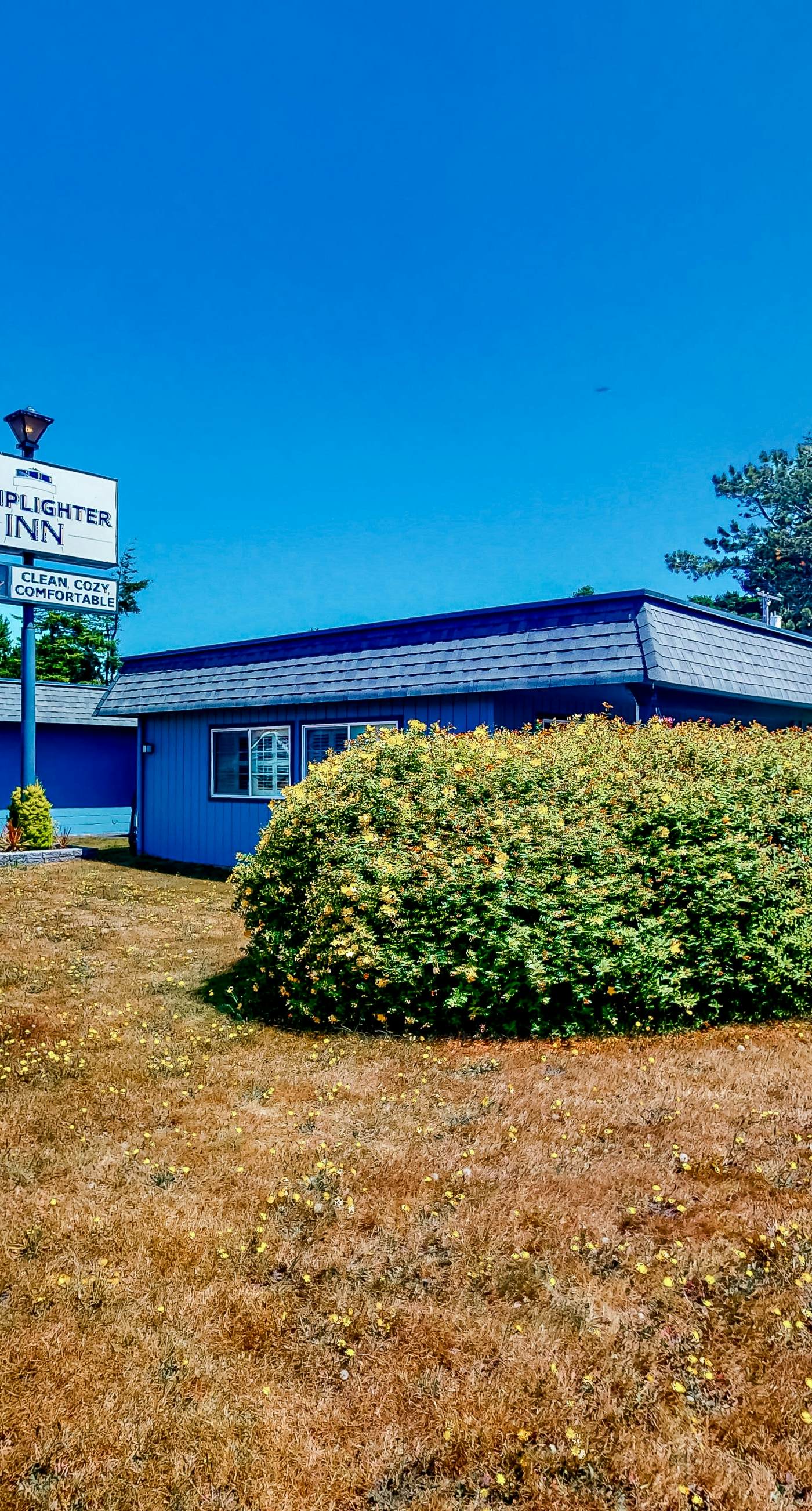 Lamplighter Inn - 117 Whale Watching